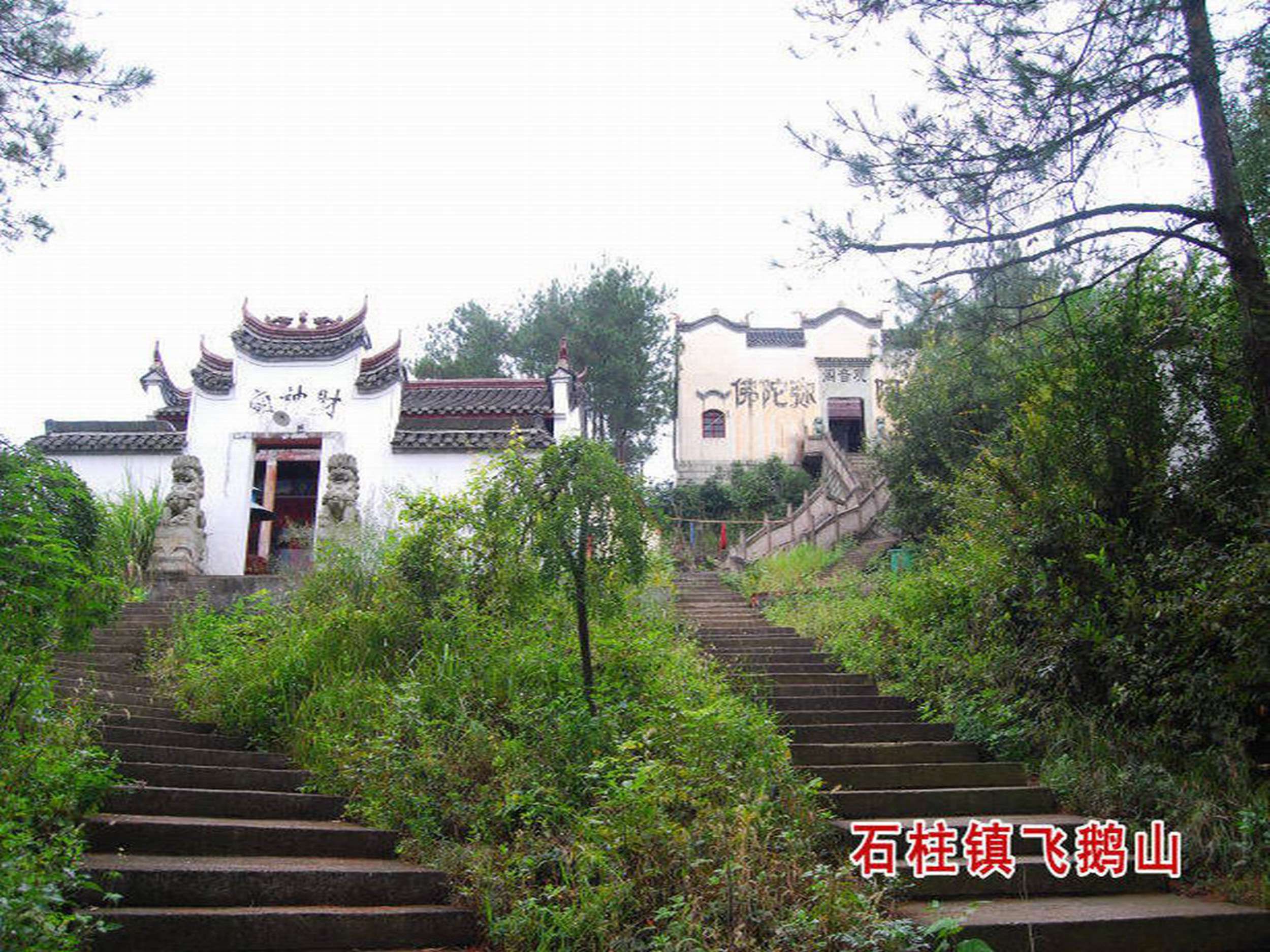 飞鹅山风景区