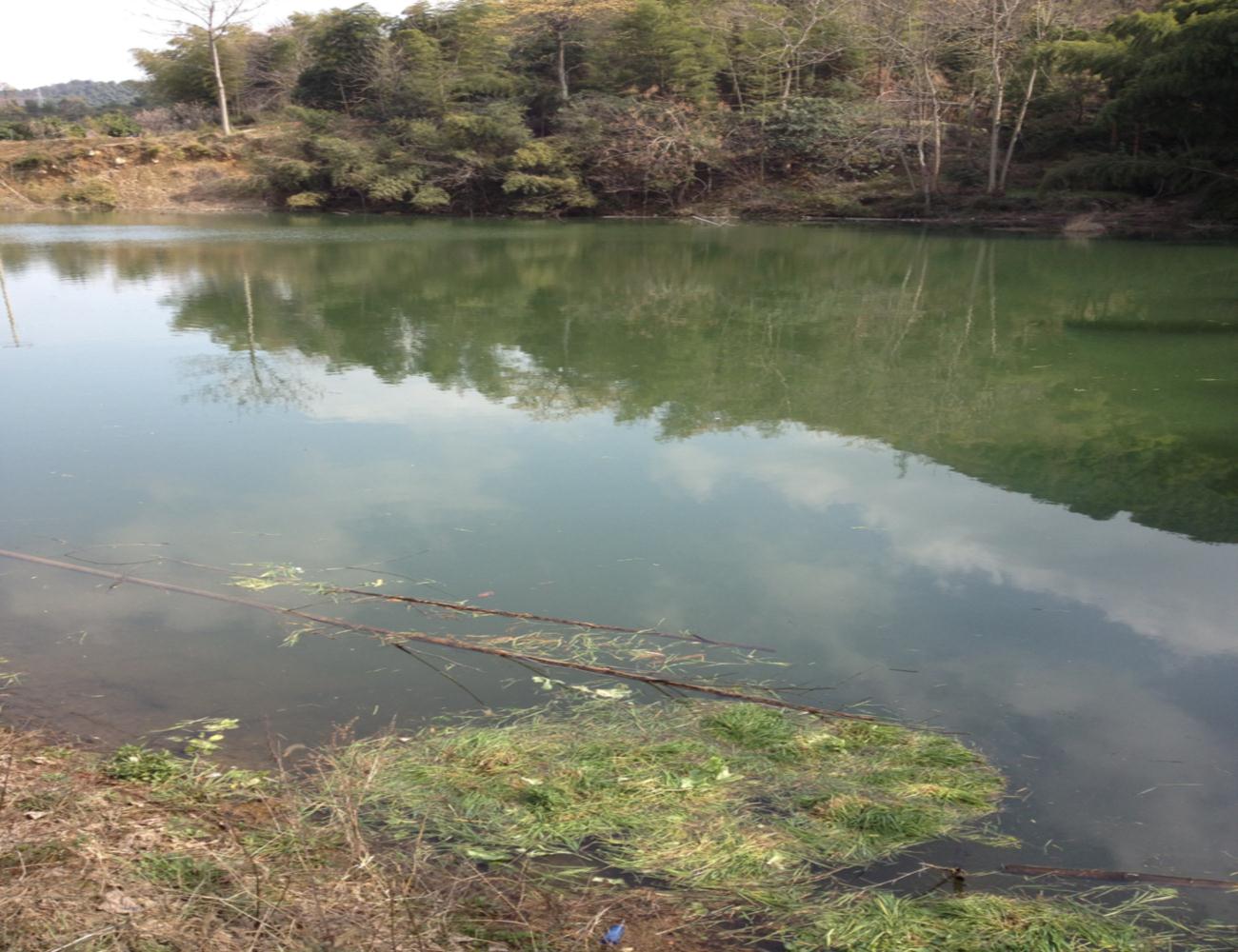 池湾水库