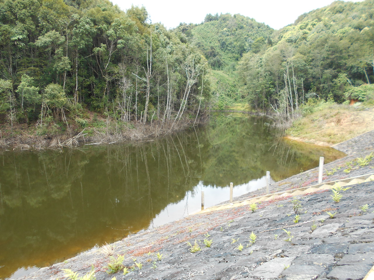 小道河水库