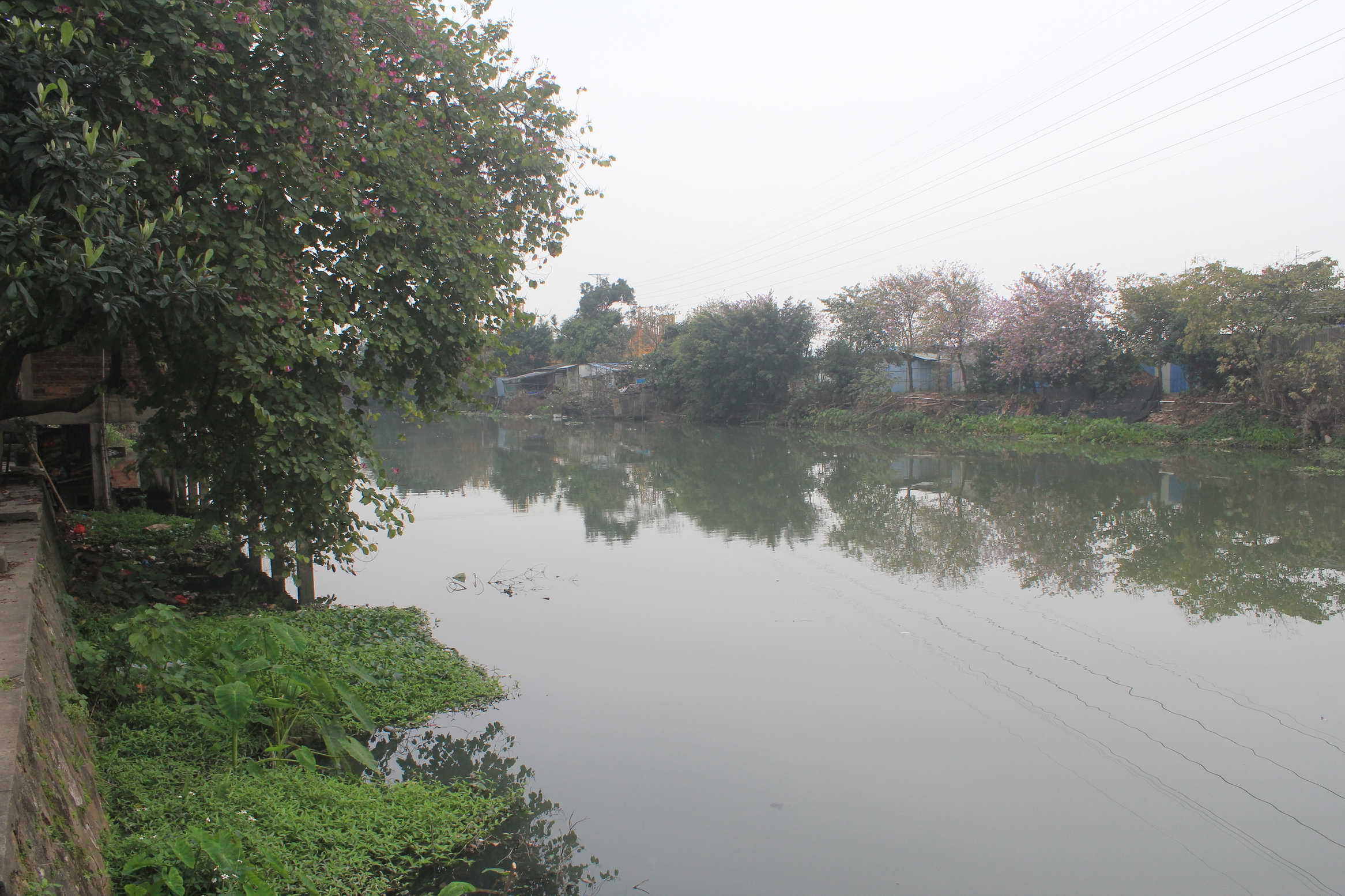 平洲水道