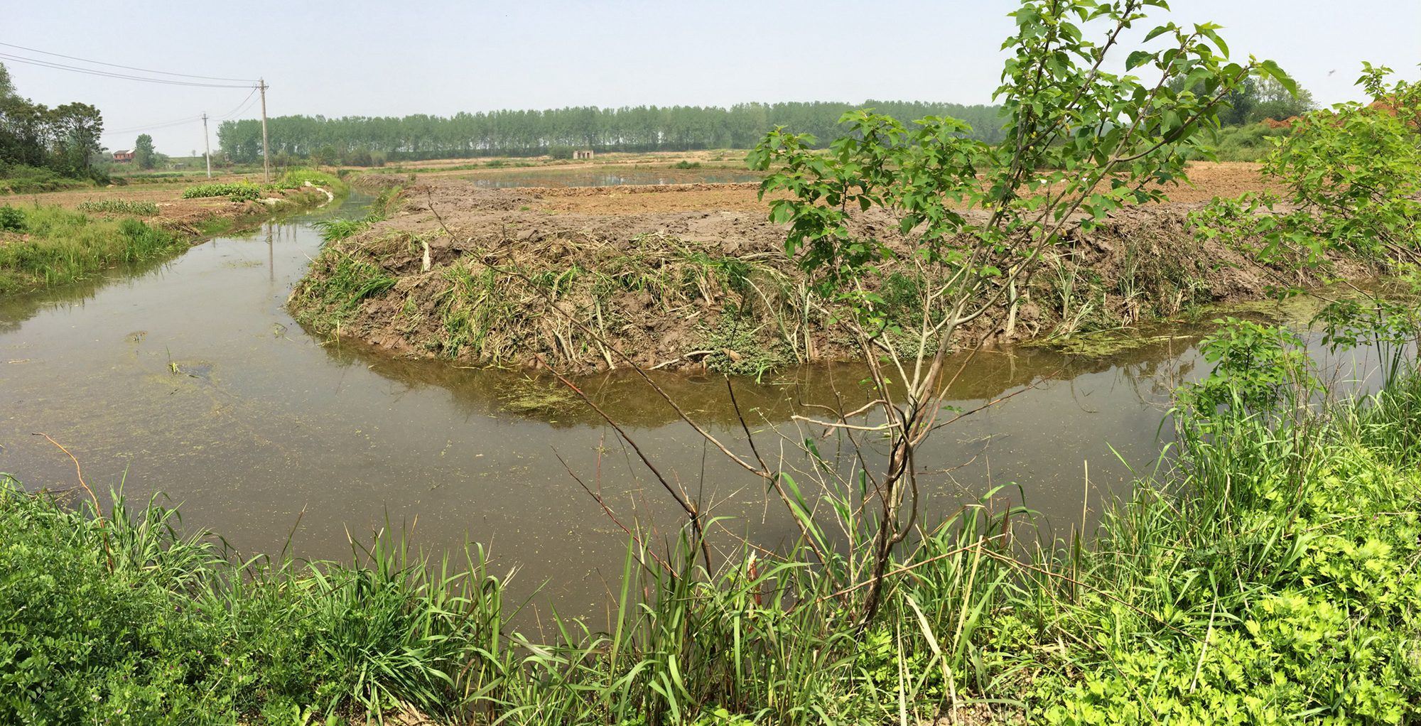 下汤家湖