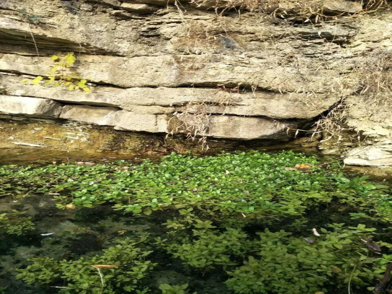 饮马泉