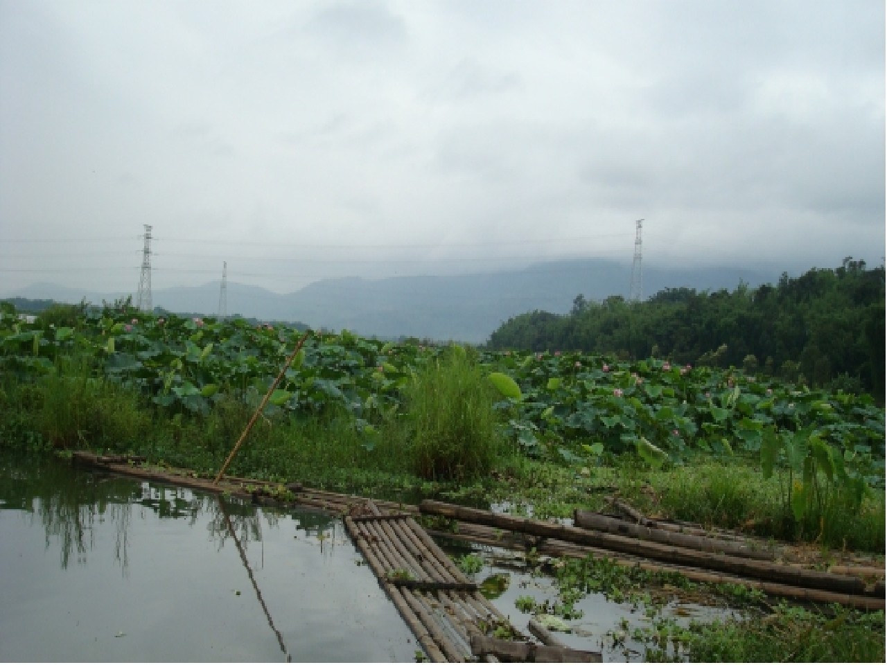 盈江县香额湖游览区