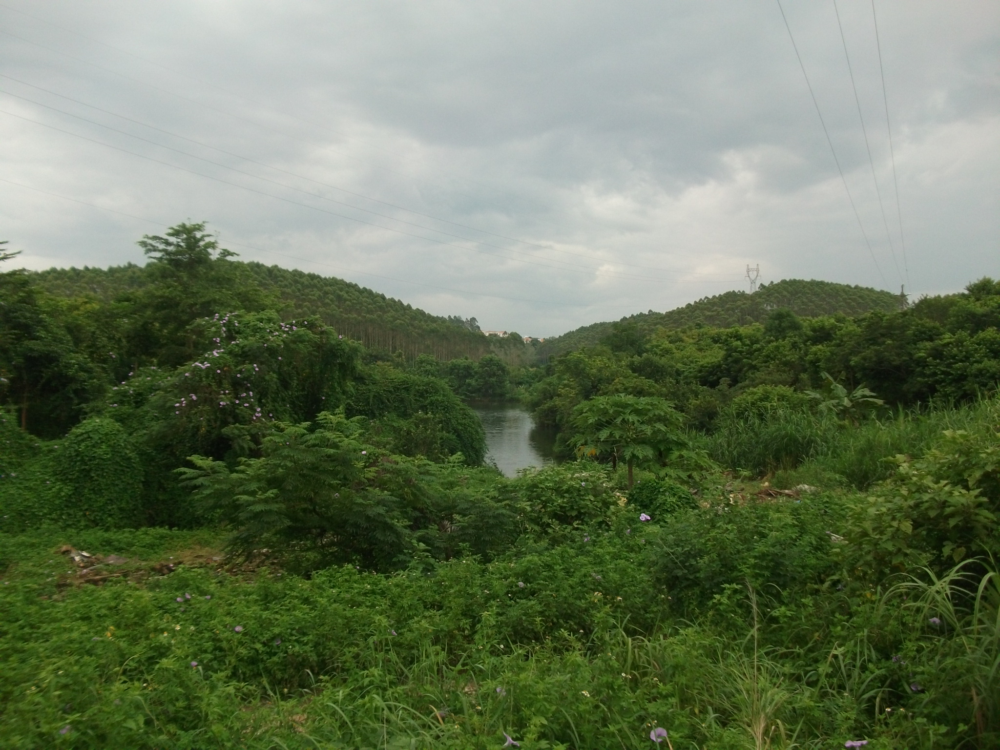 茶山水库