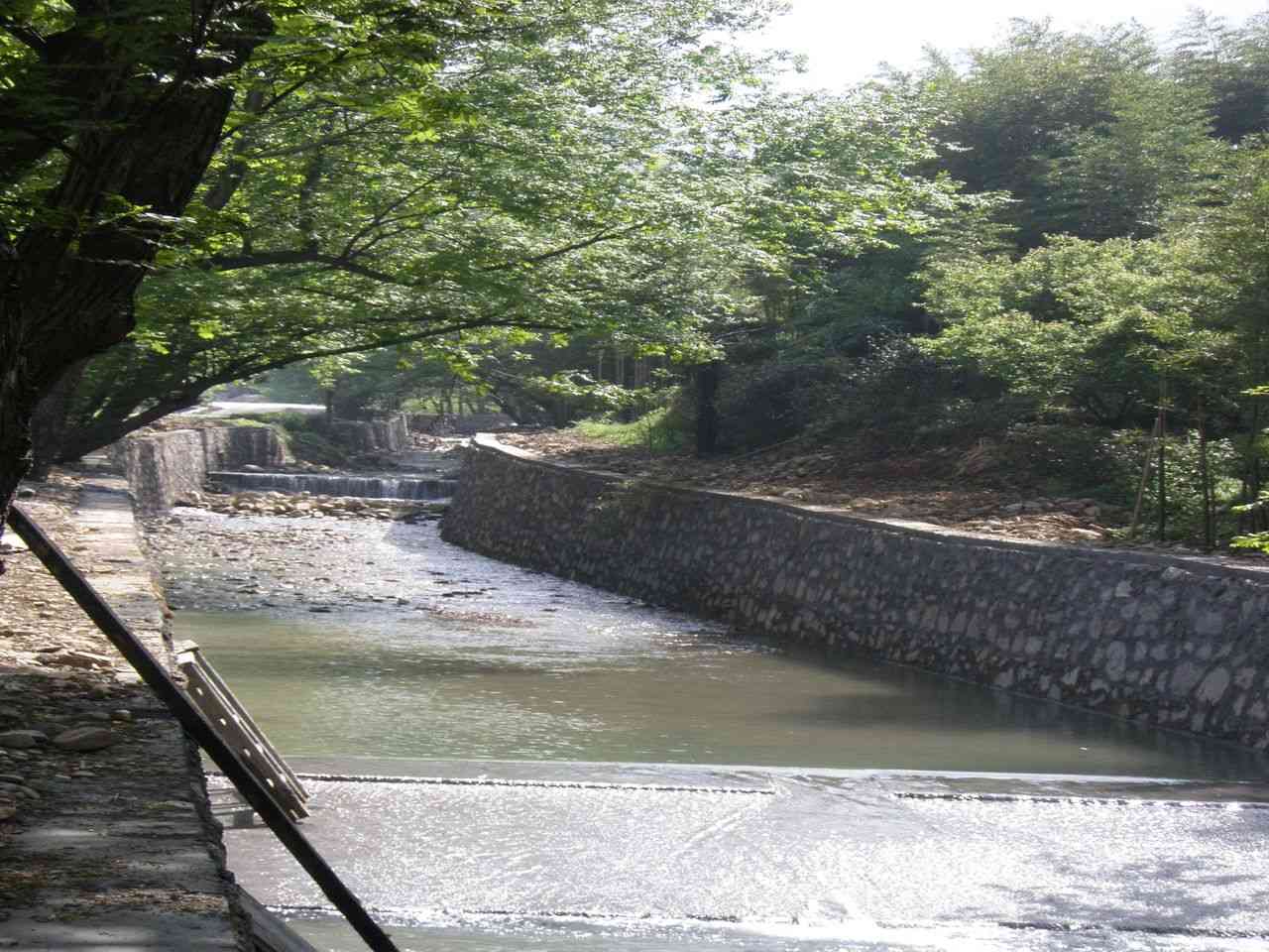 大岙村大溪坑