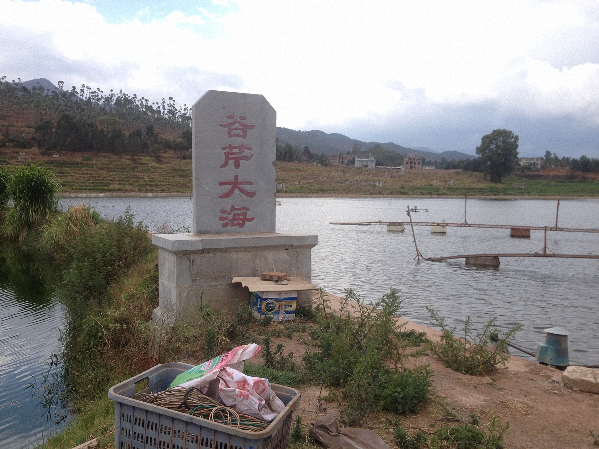 谷芹大海水库