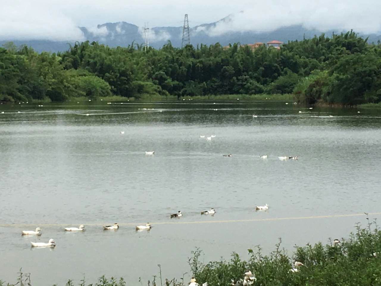 三山池水库