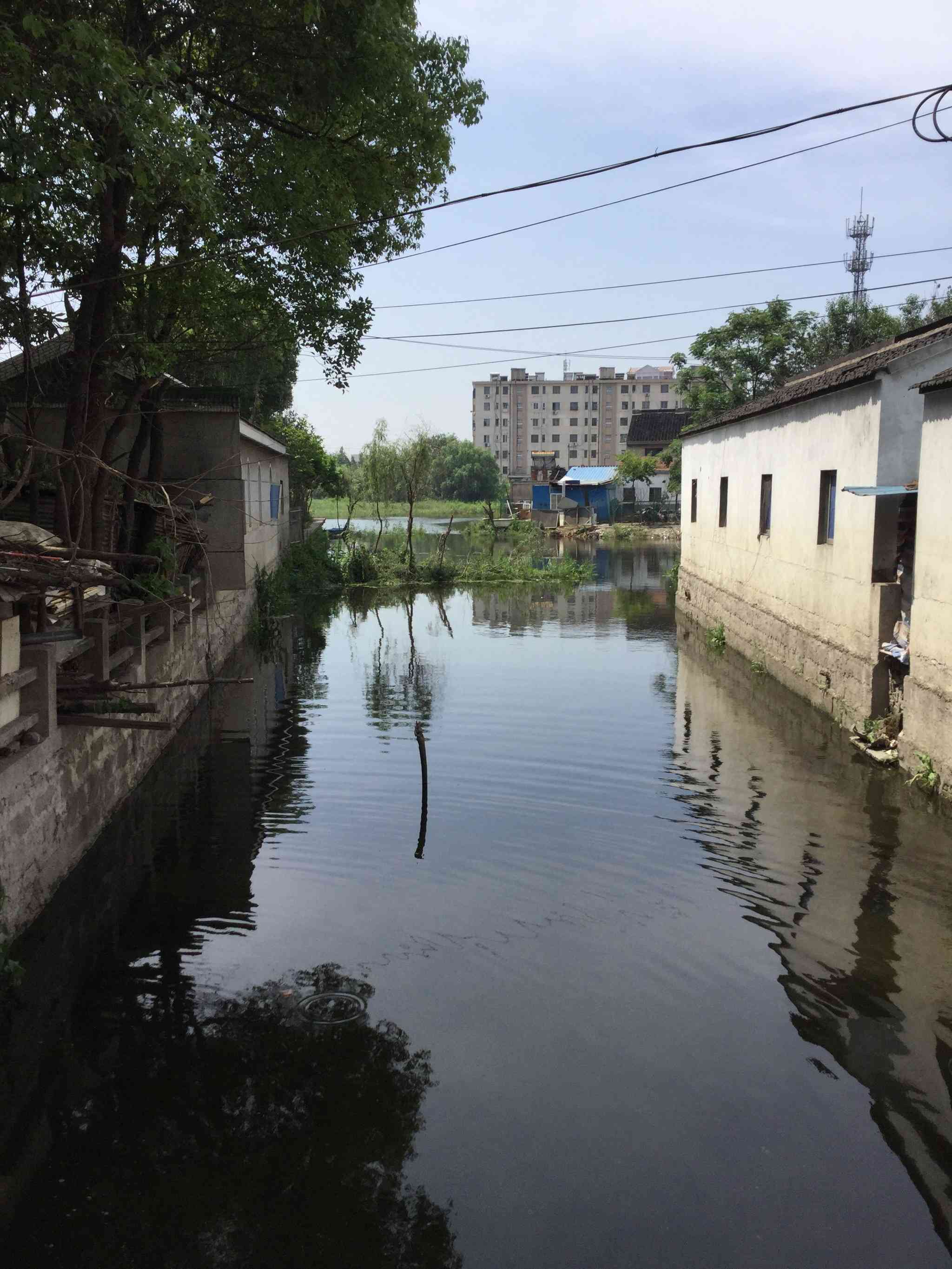 俞家塘内河