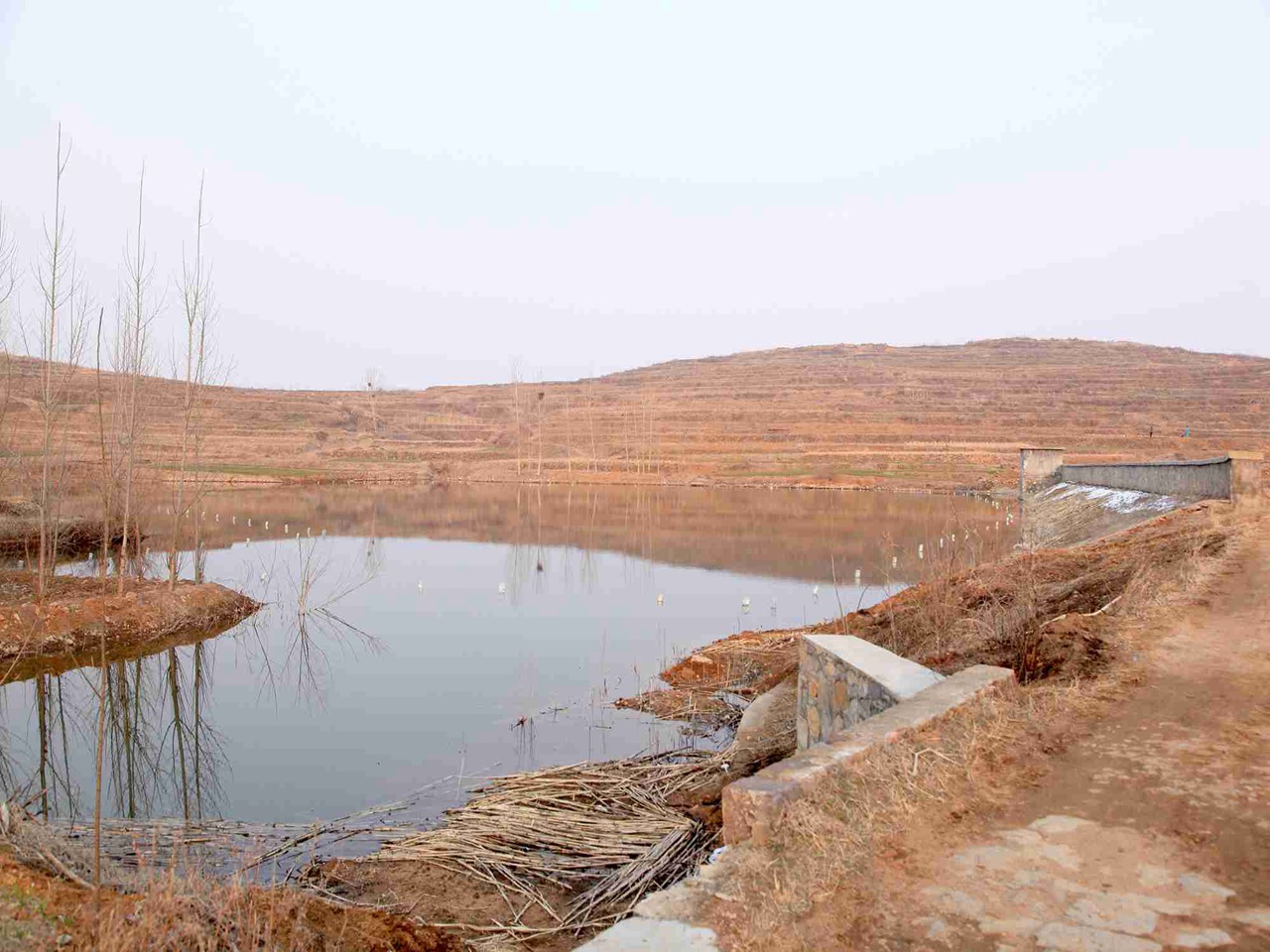 坪下河水库