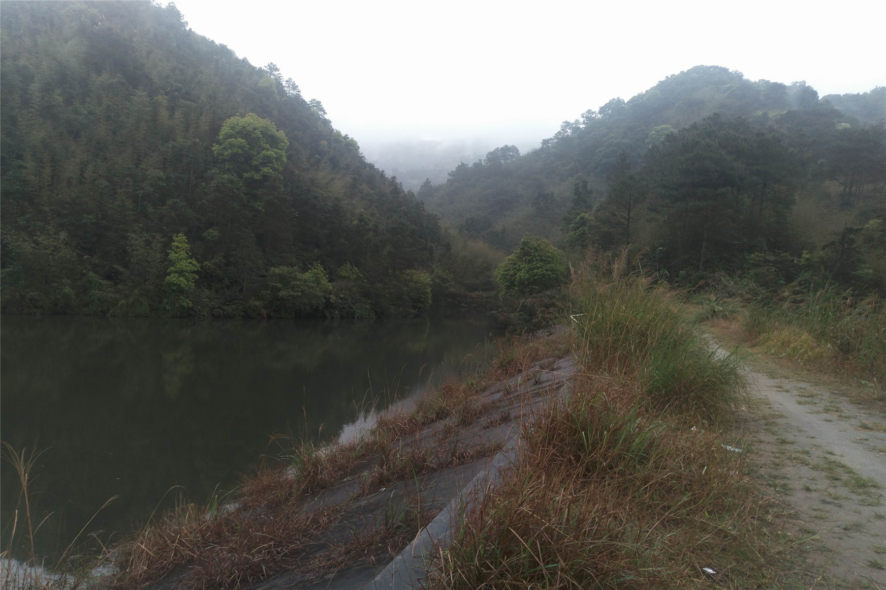 鹤塘水库