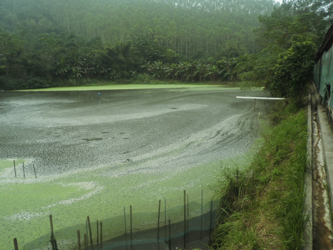 相思山水库