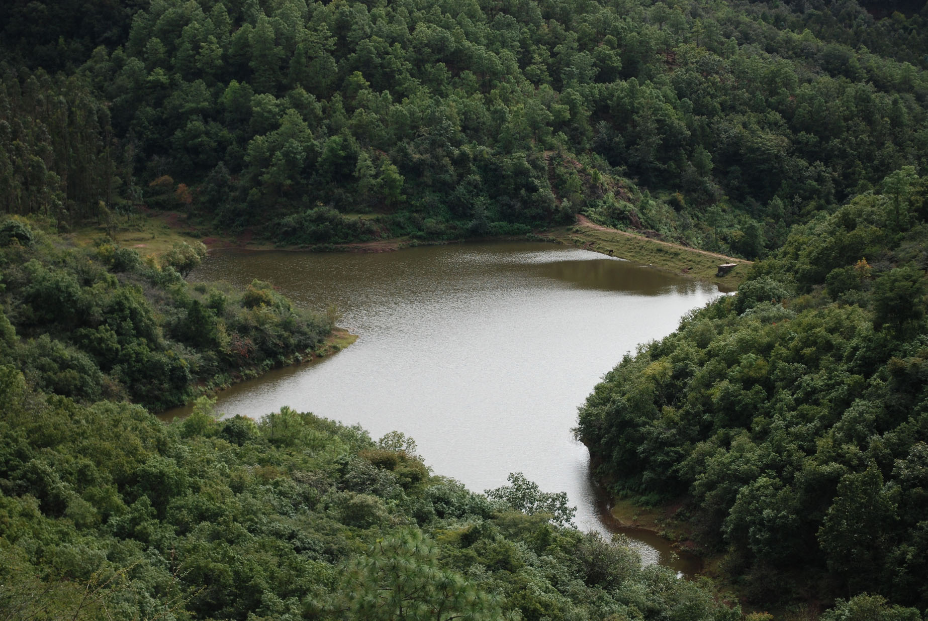 龙箐坝水库