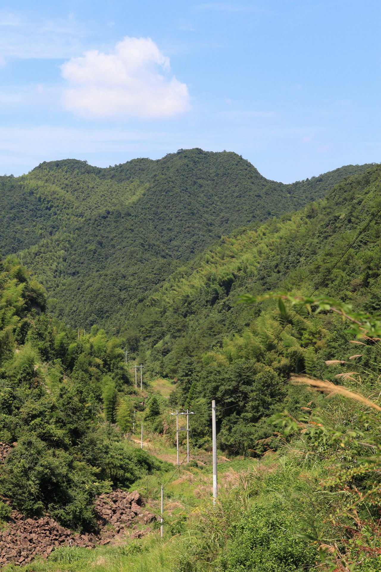 龙冲坞