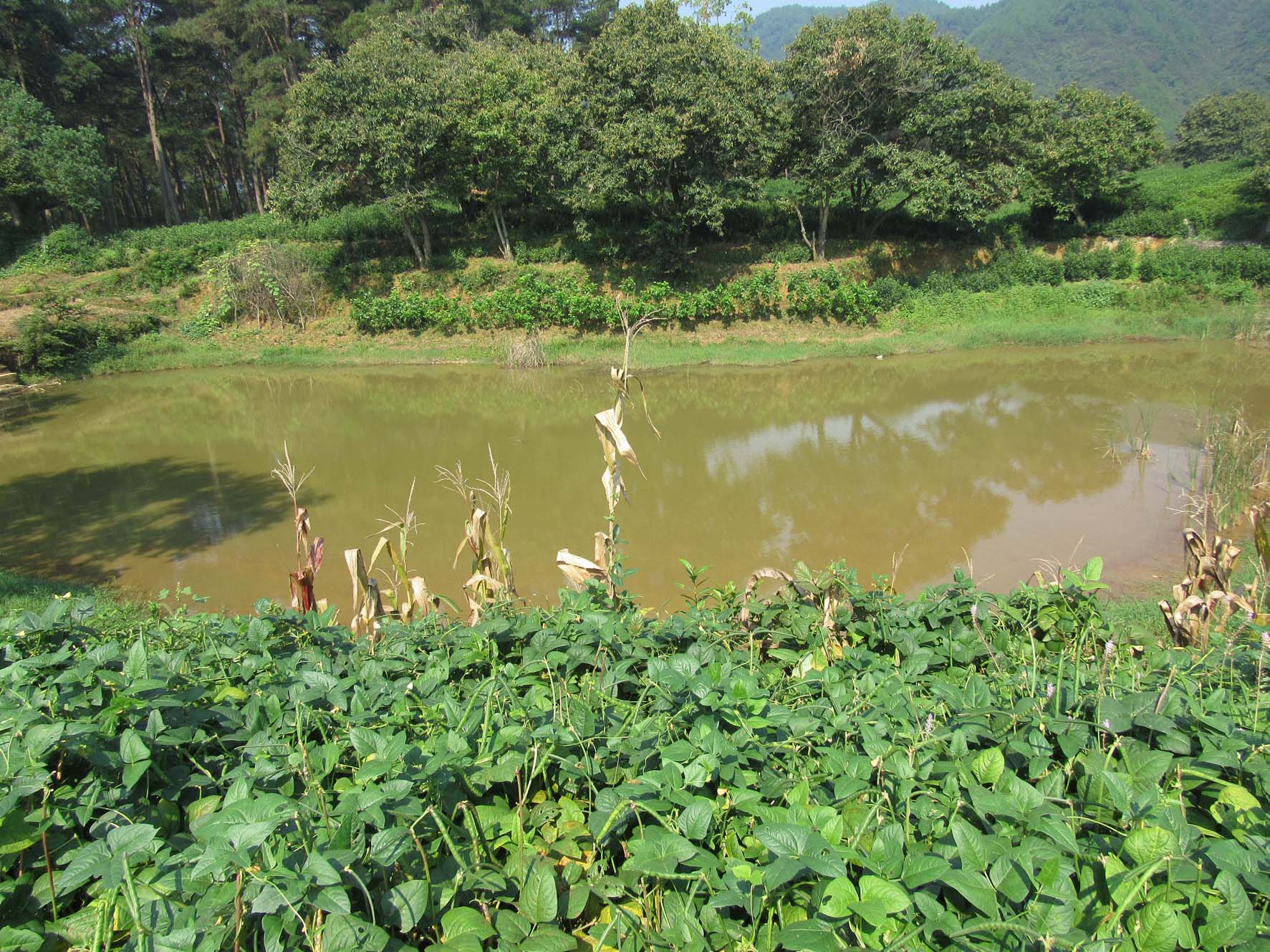 碧西水库