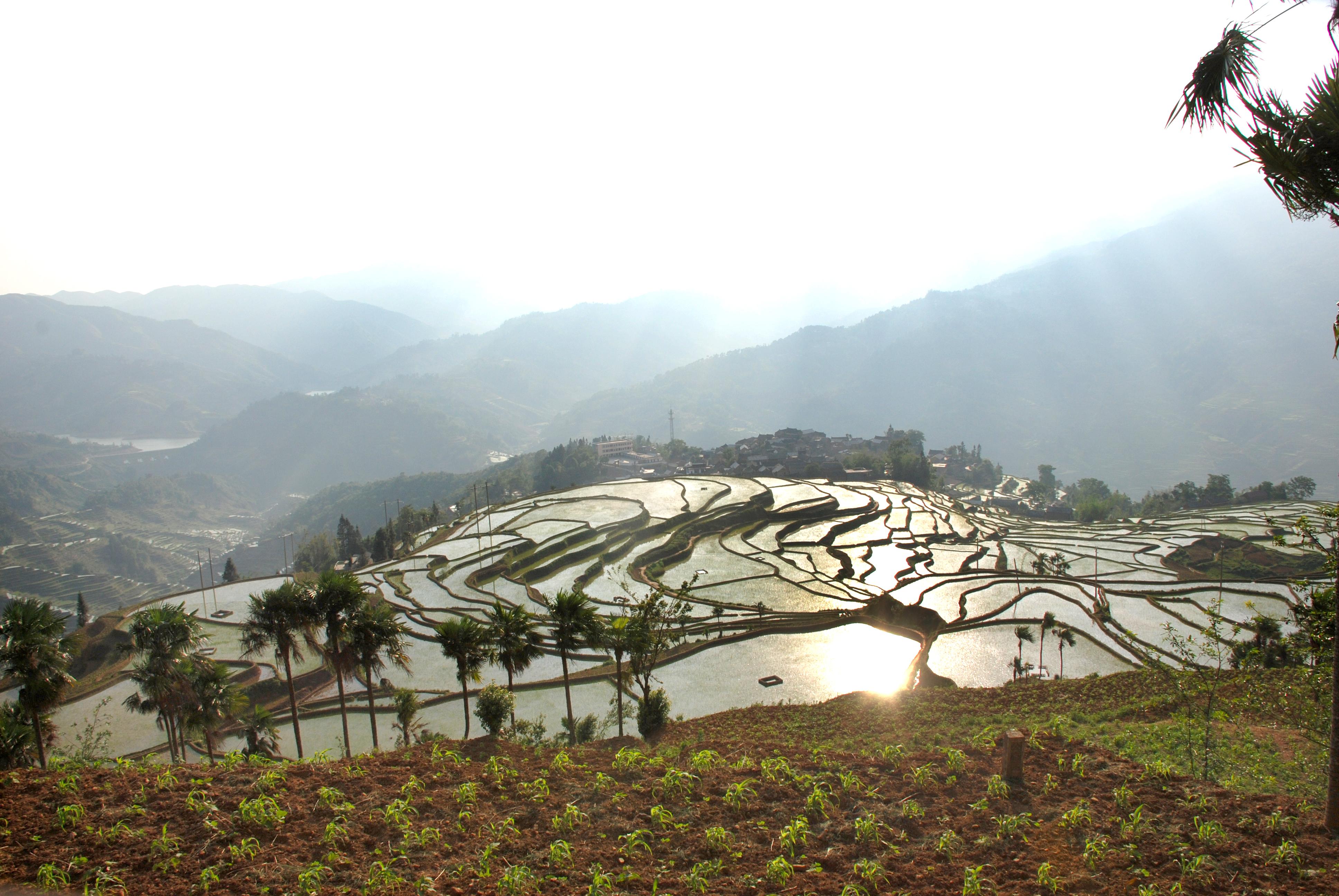 绿树格梯田风景区