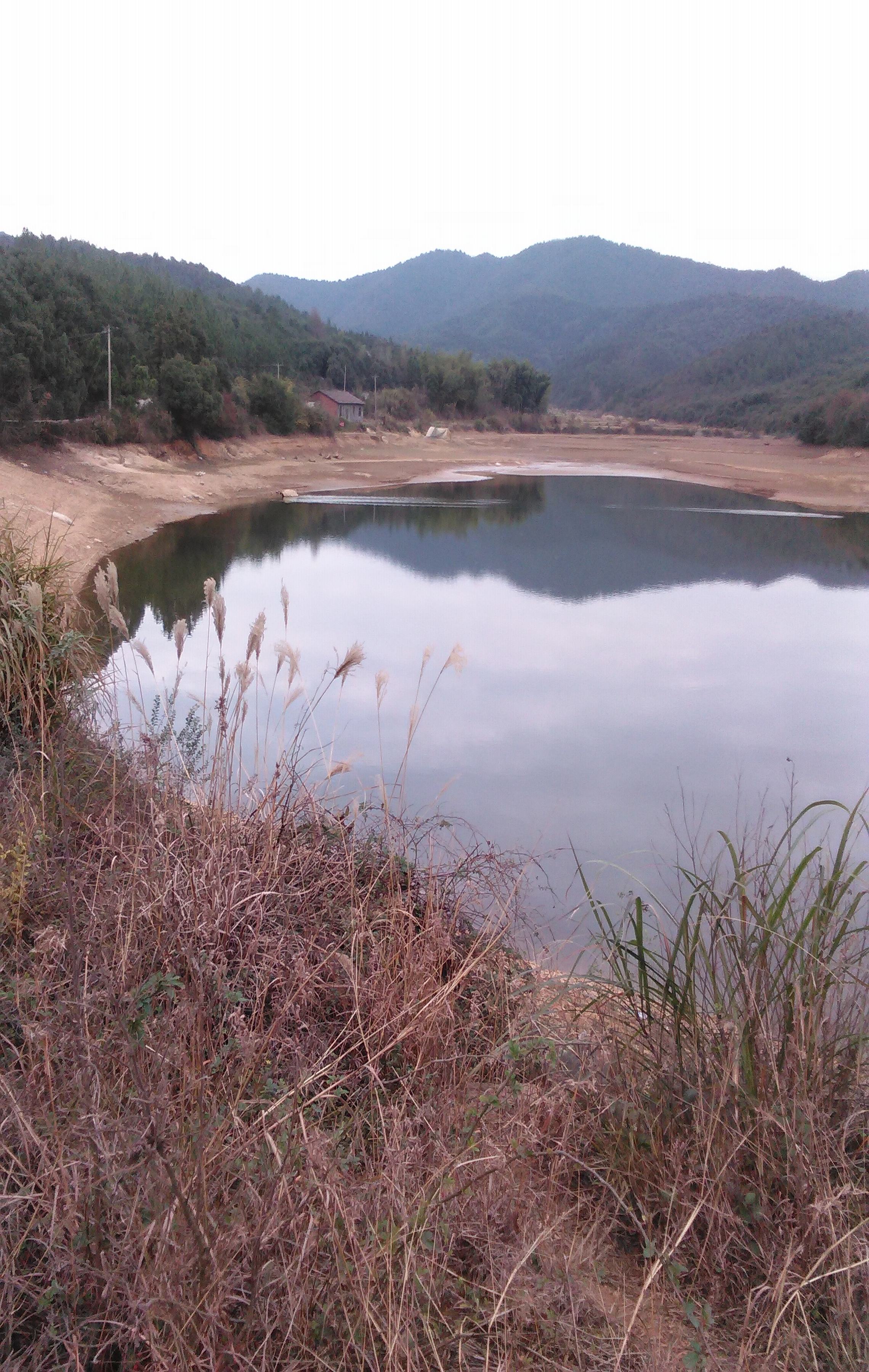 梨树山塘水库