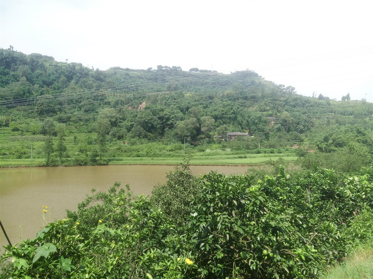 游家沟水库