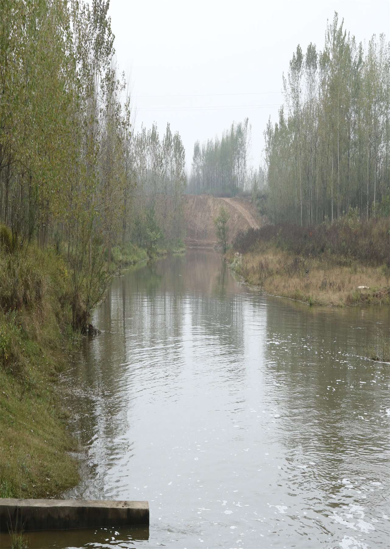 母猪峡水库