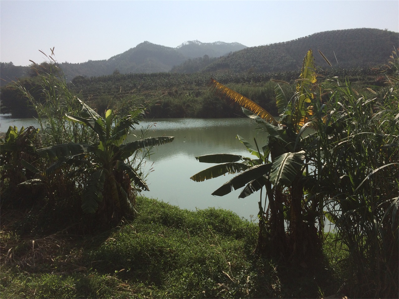 赤草埔水库