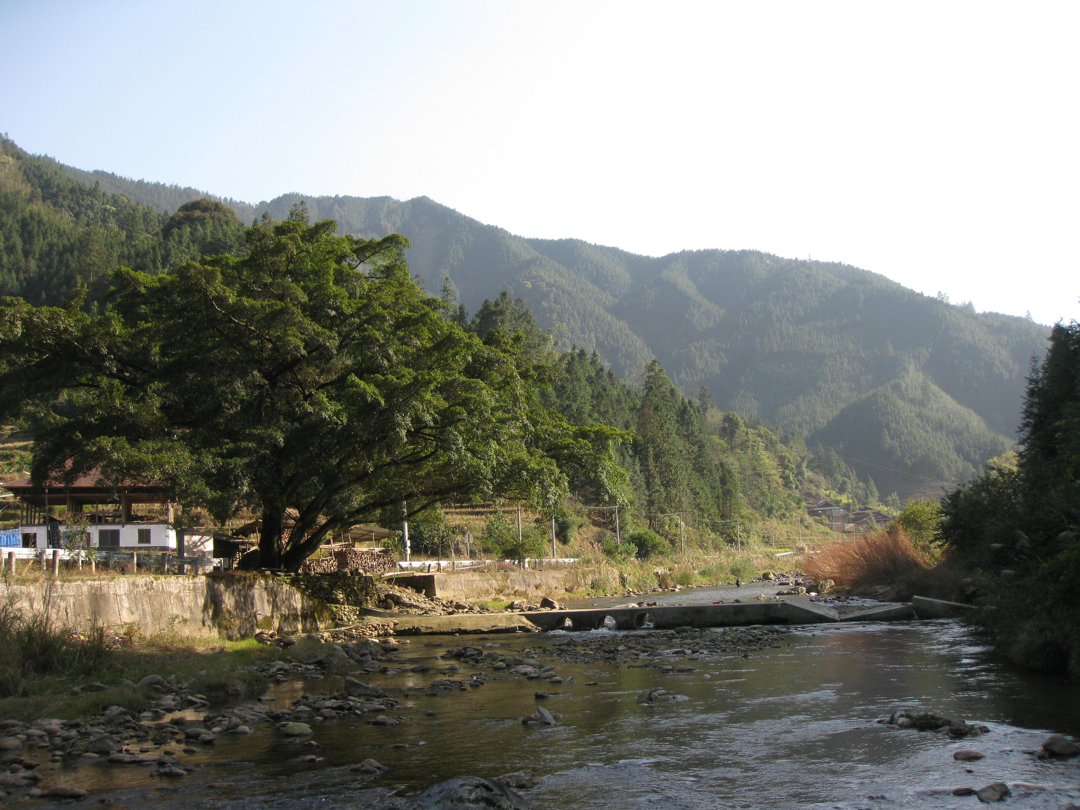 高安河