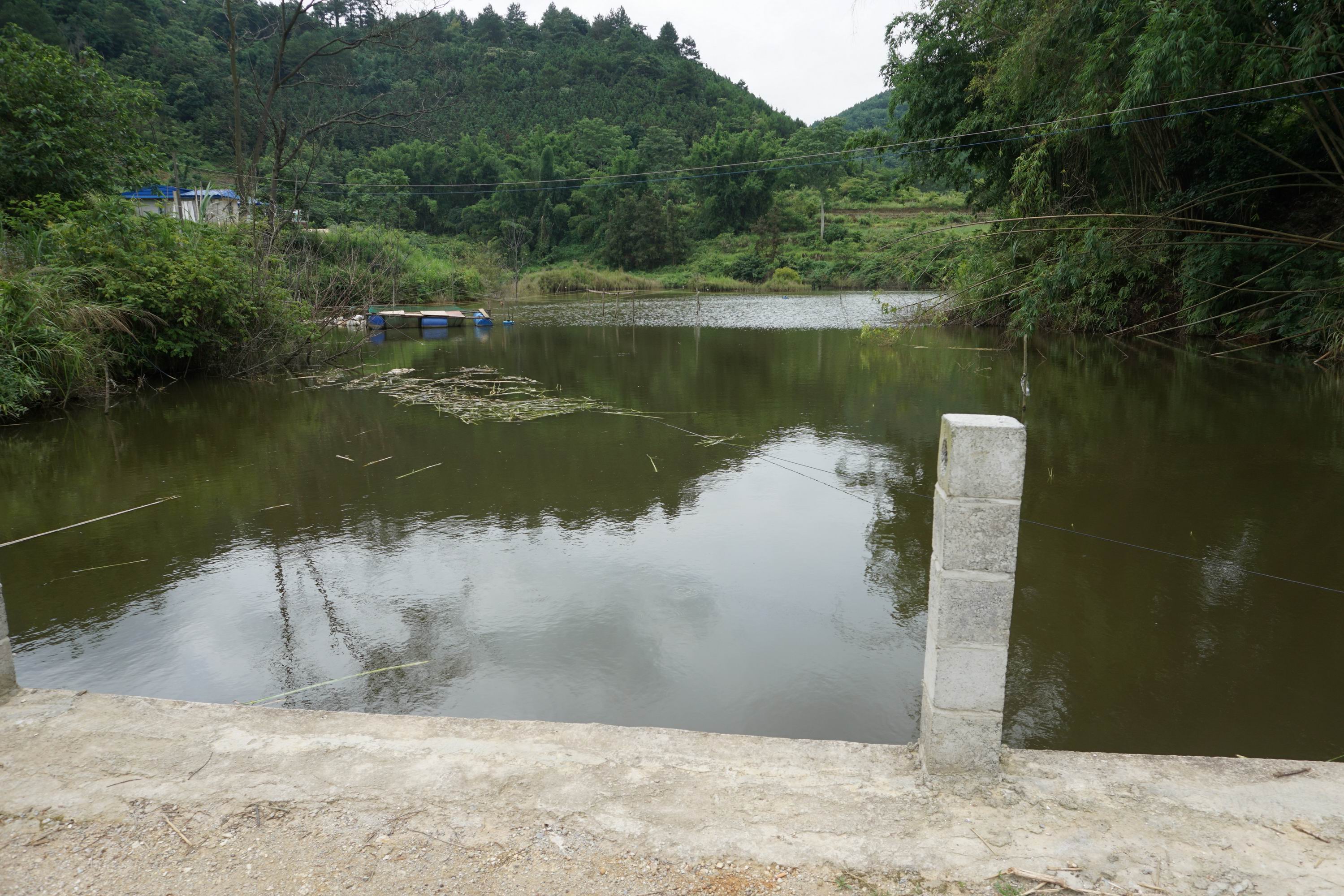 塘果楼水库