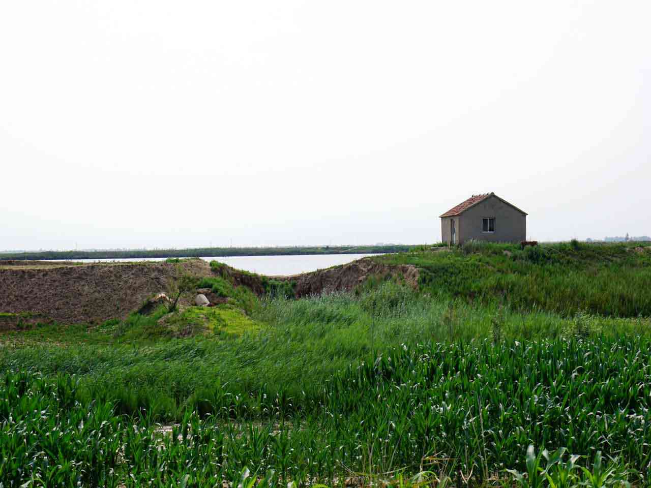 新岛水库