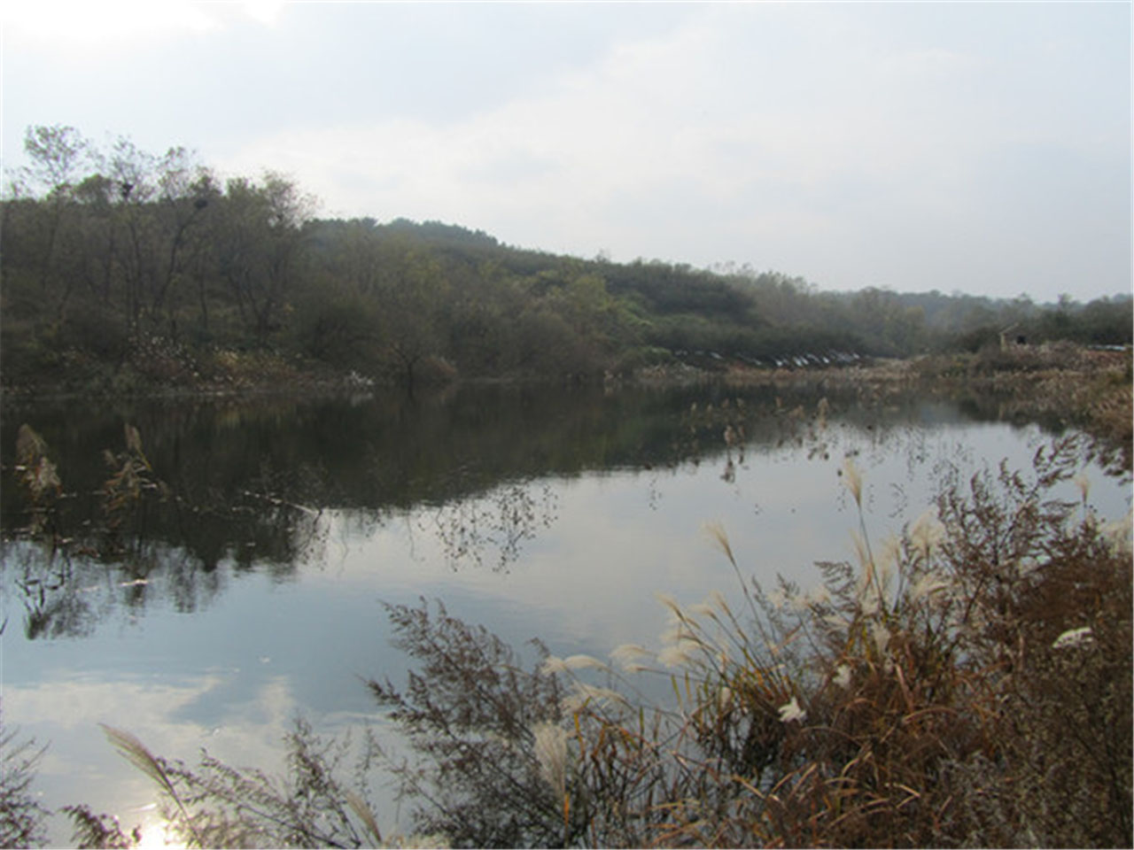 马家沟村西山水库