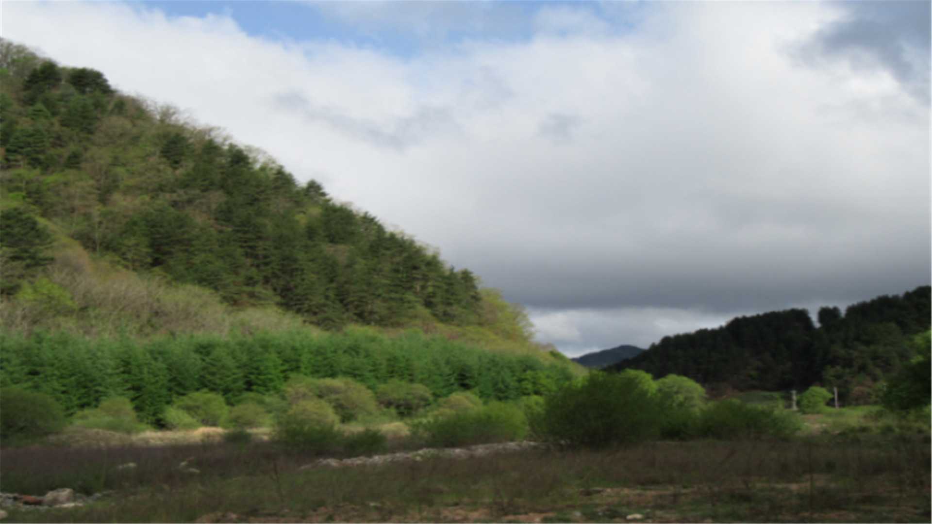 龙门景区