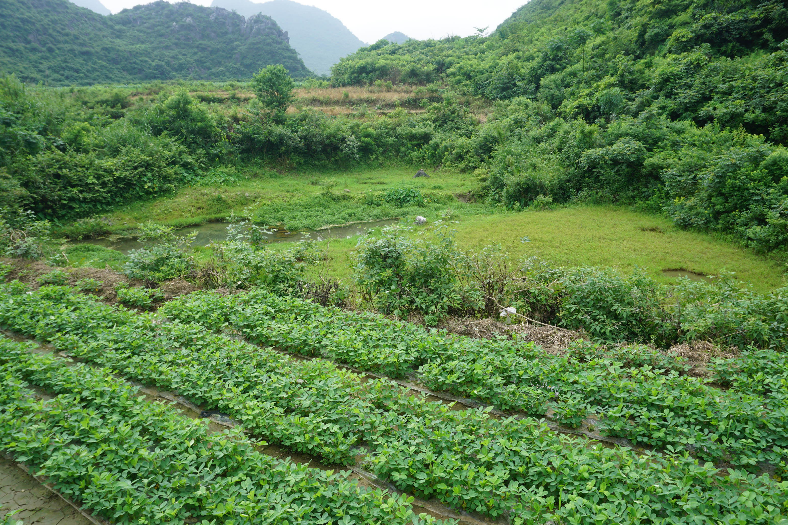 挑水岩泉