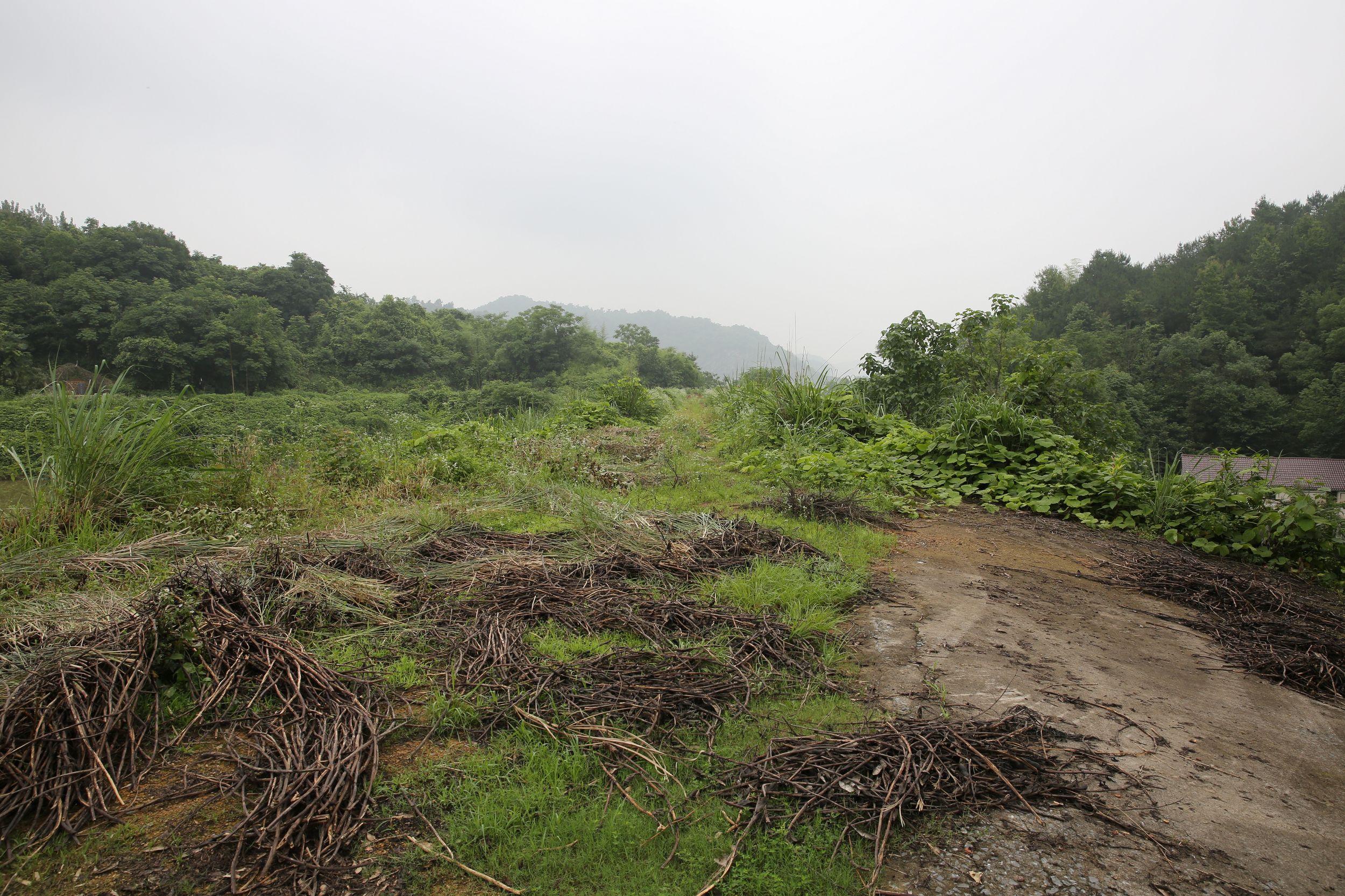 对家坞水库