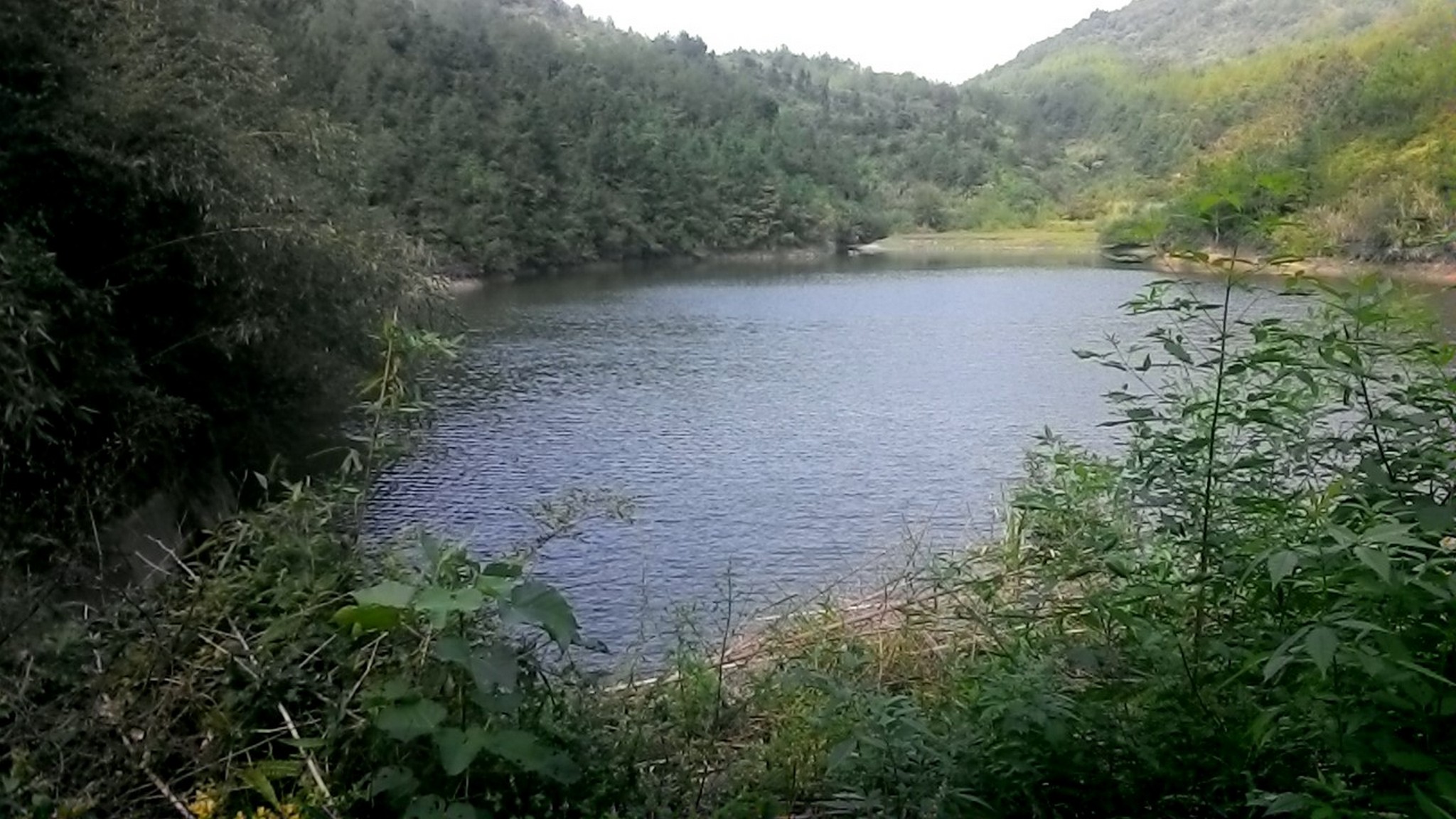 旗山背水库