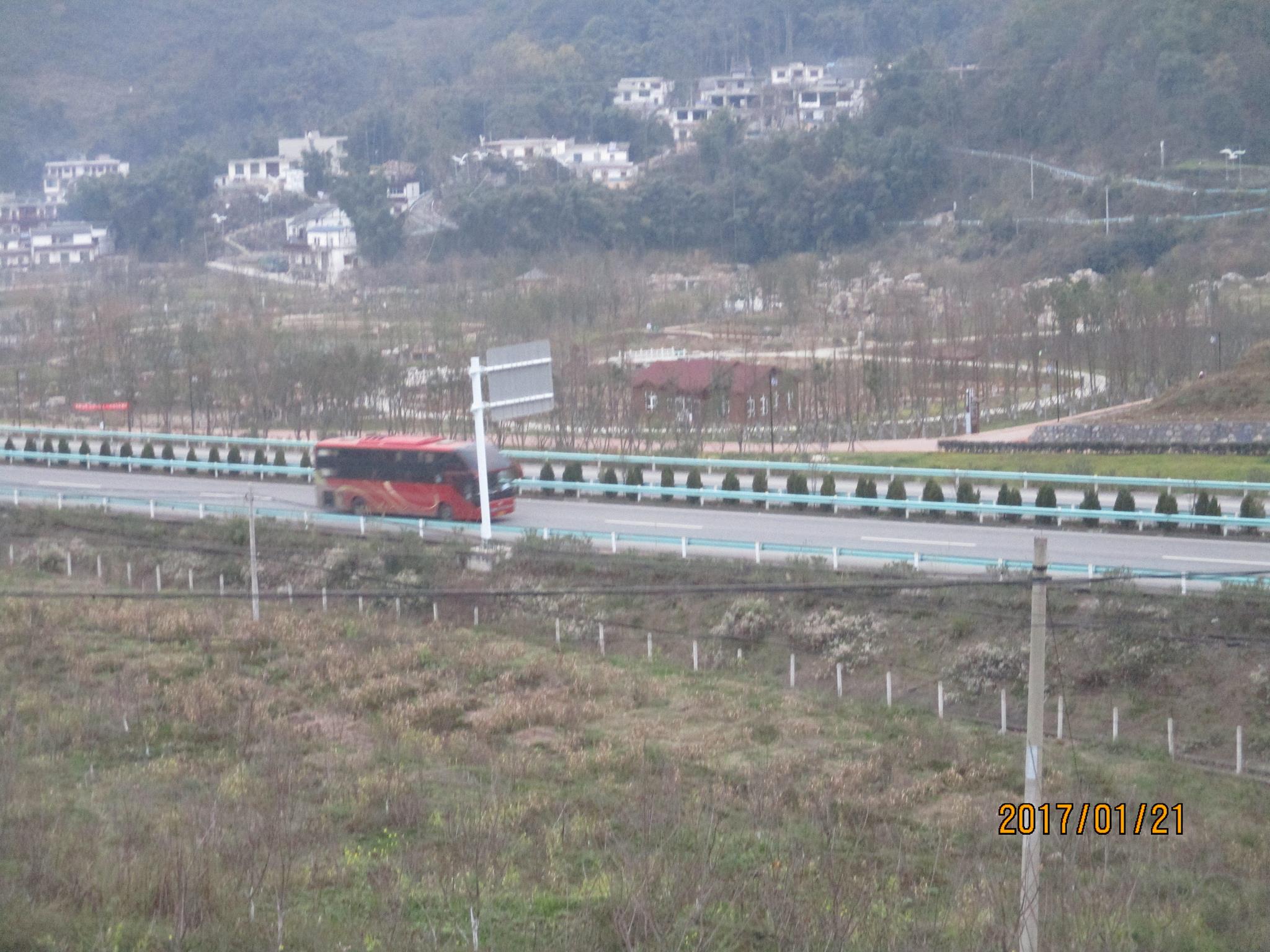 水塘湿地公园