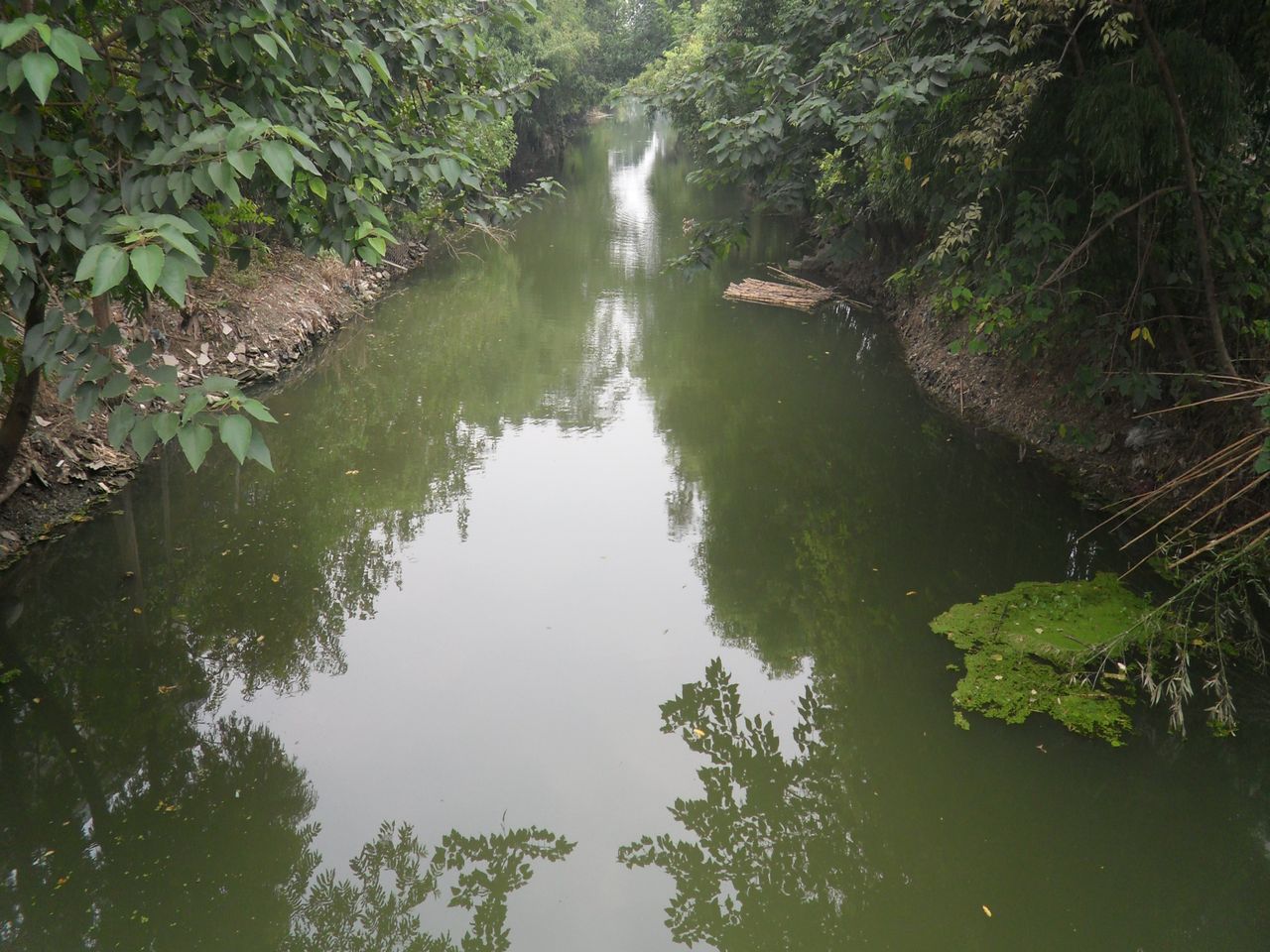 同仁桥港