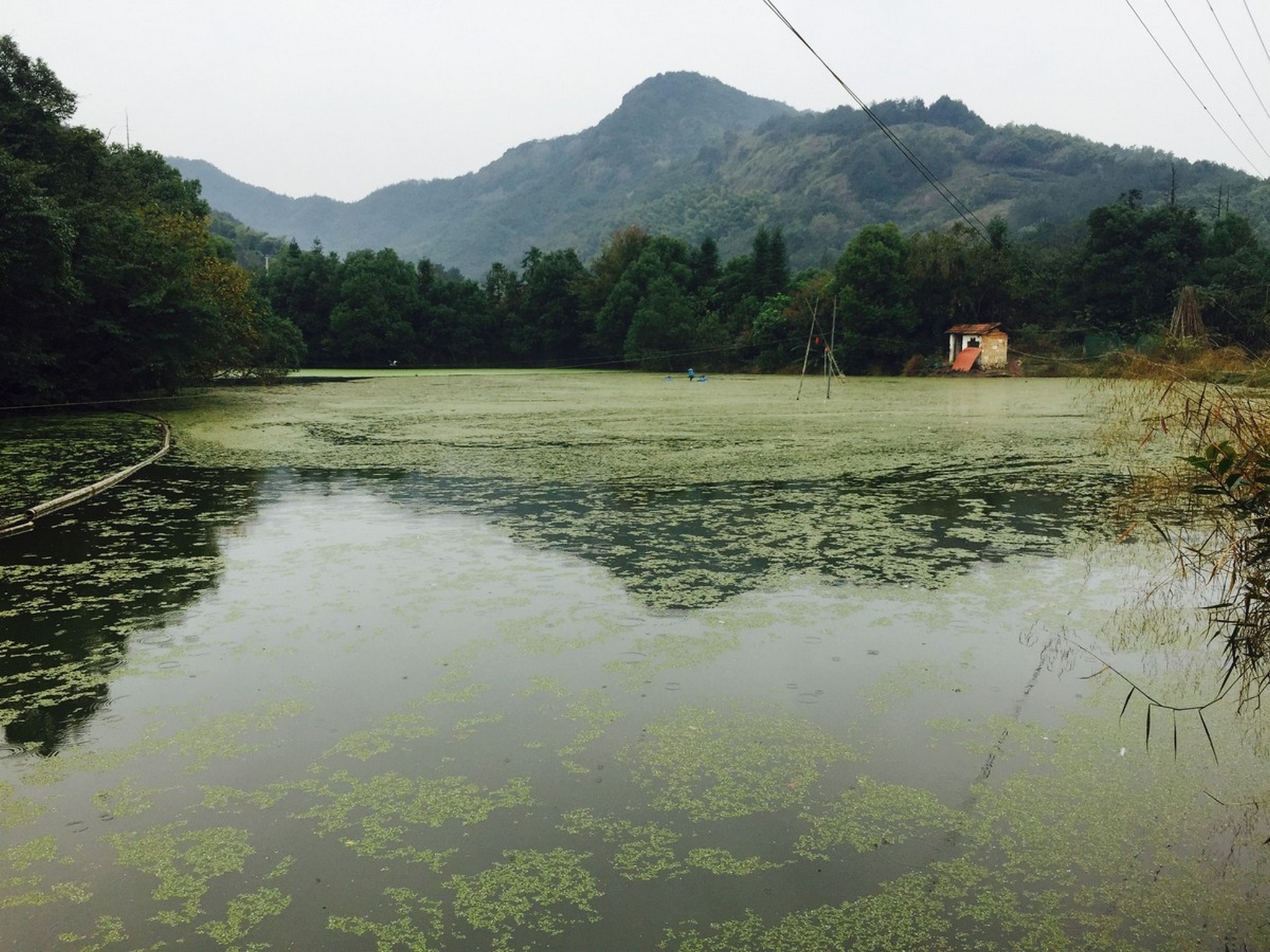 西坞山塘