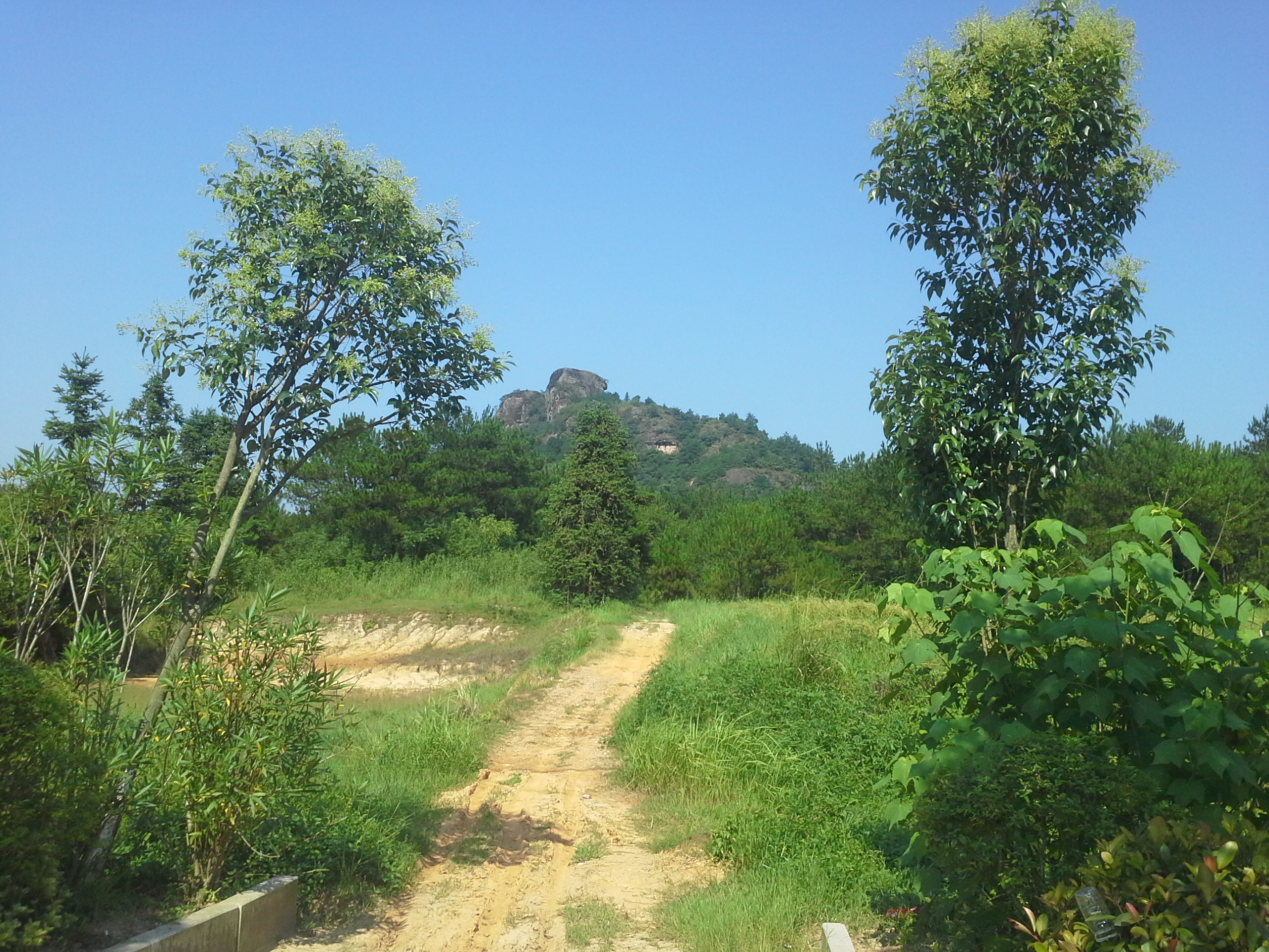 从姑山风景区