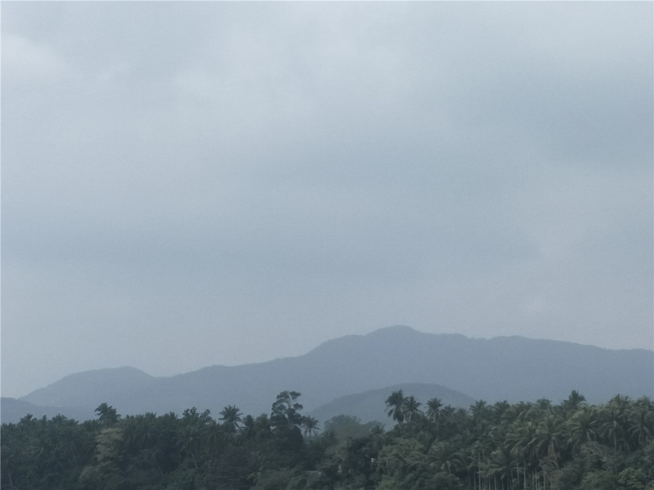 黎母山保护区