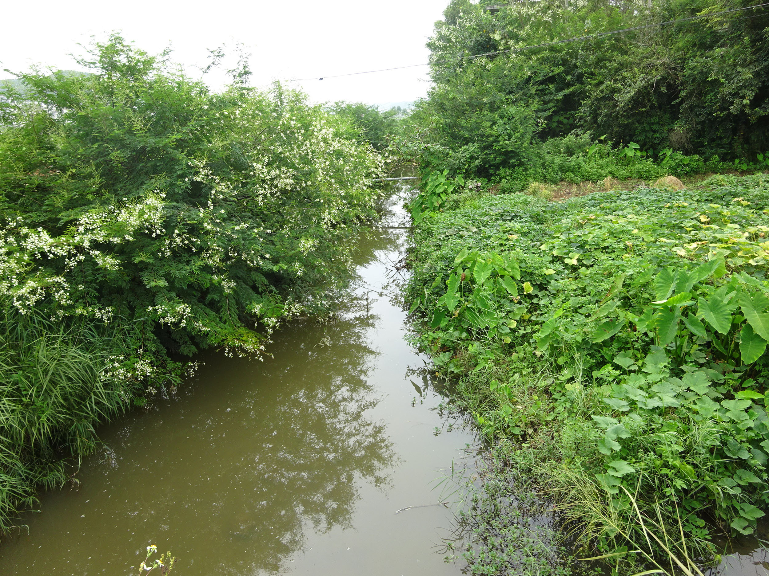 大里冲河