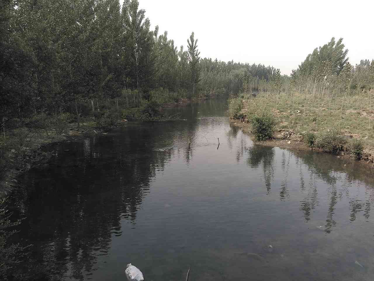 龙湾河