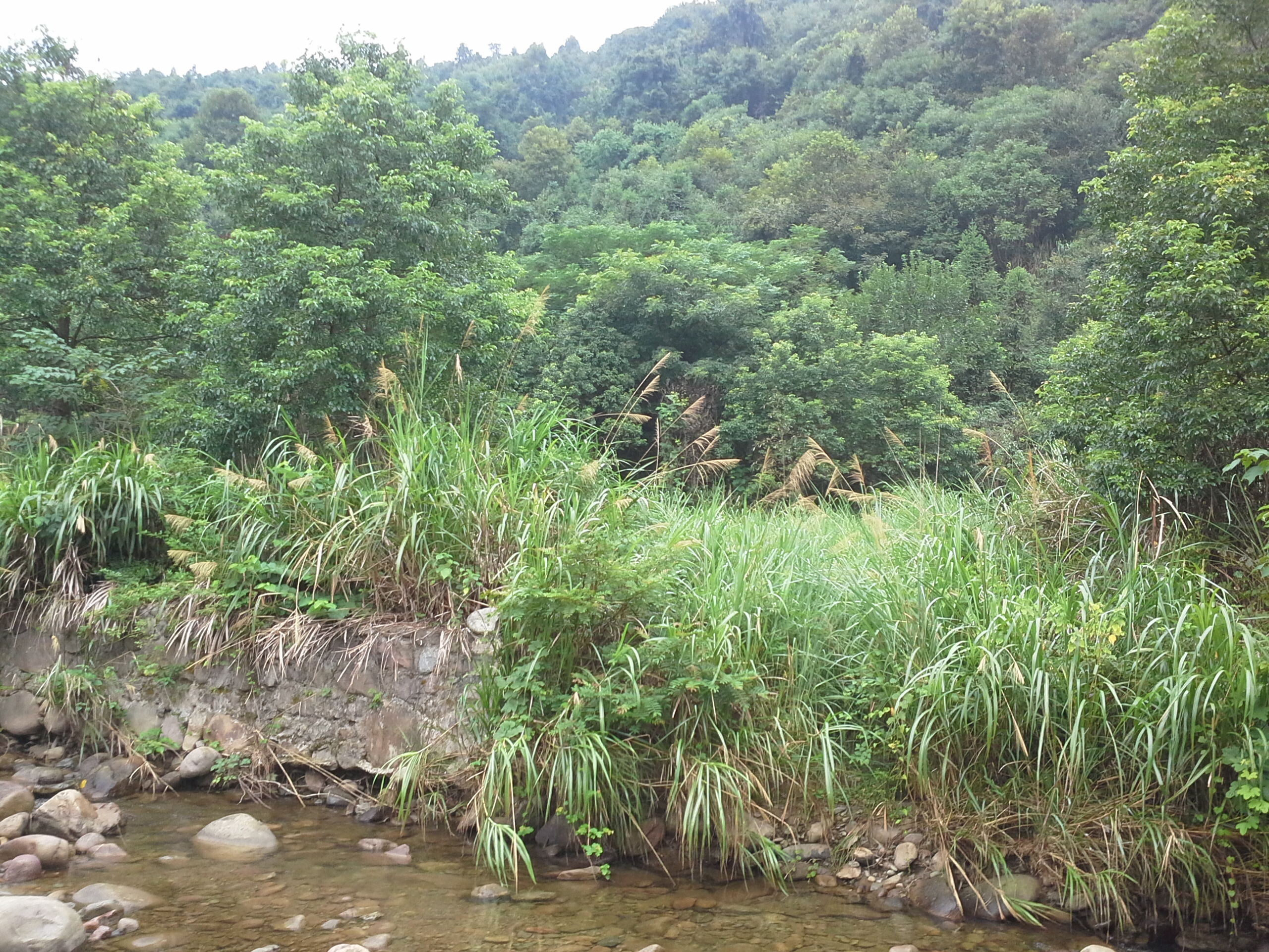 黄茅山下泉洞