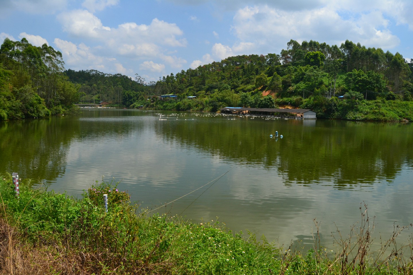 黄村水库