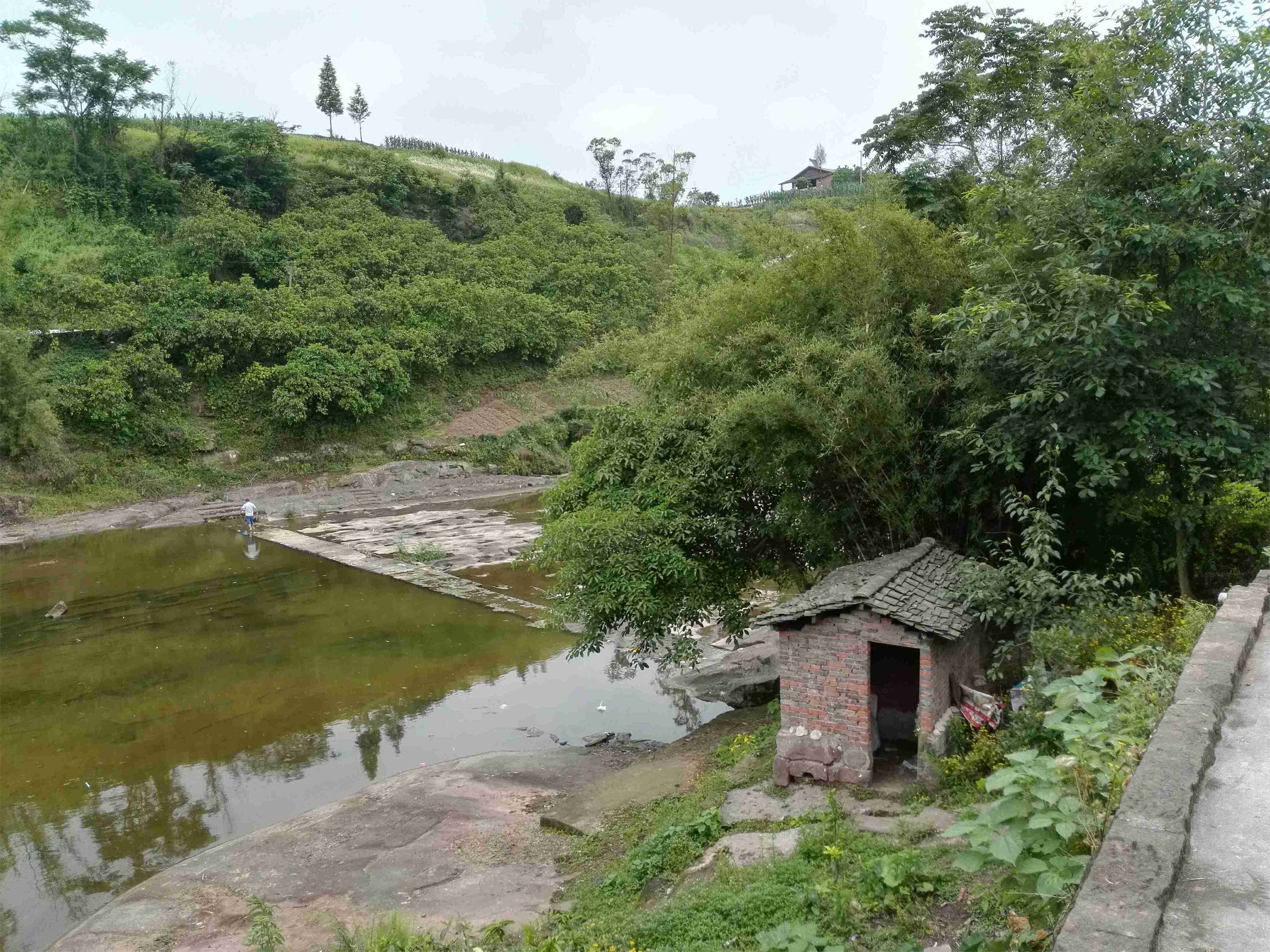 白鹤坝