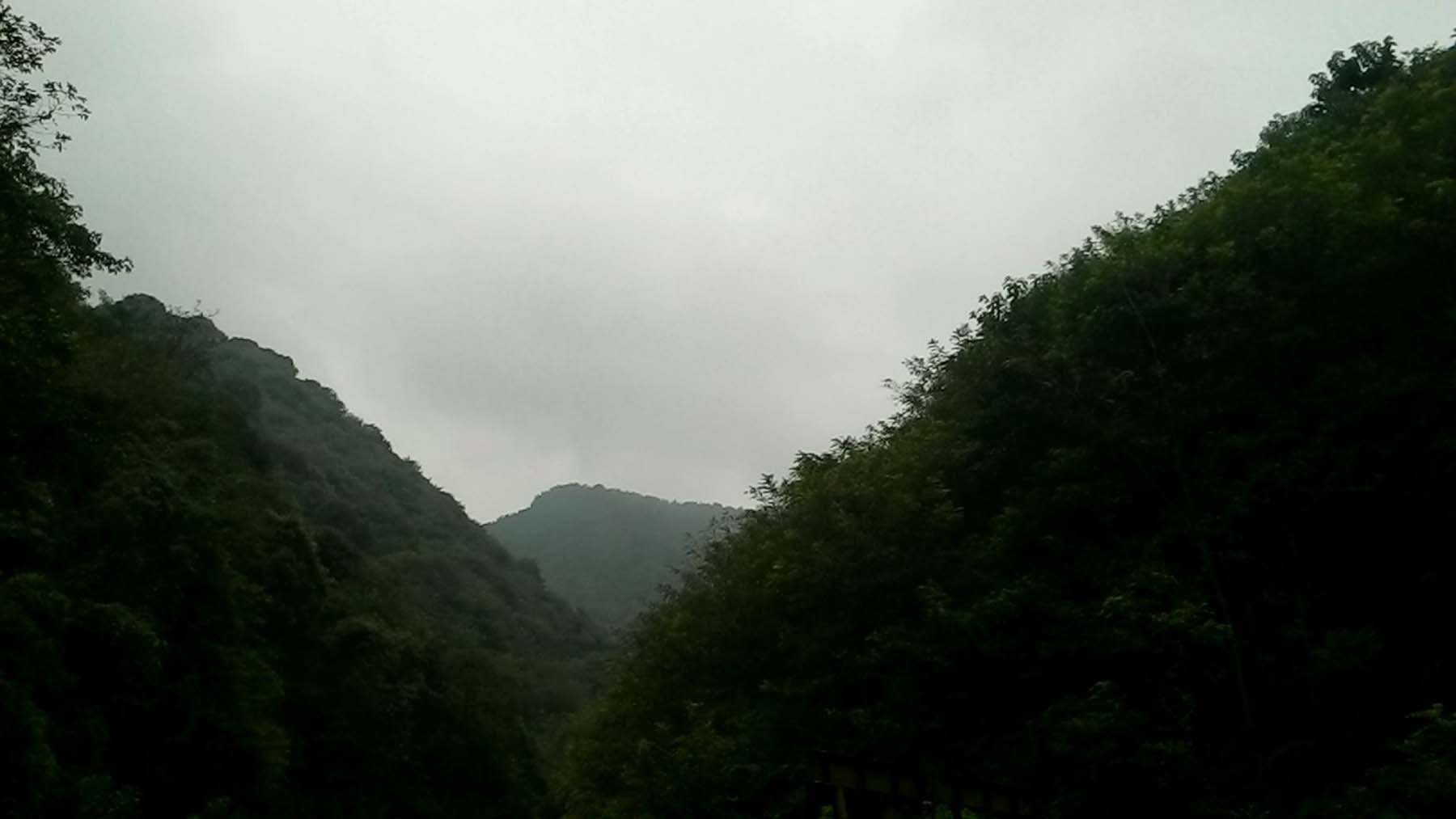 江西省大山脑省级森林公园