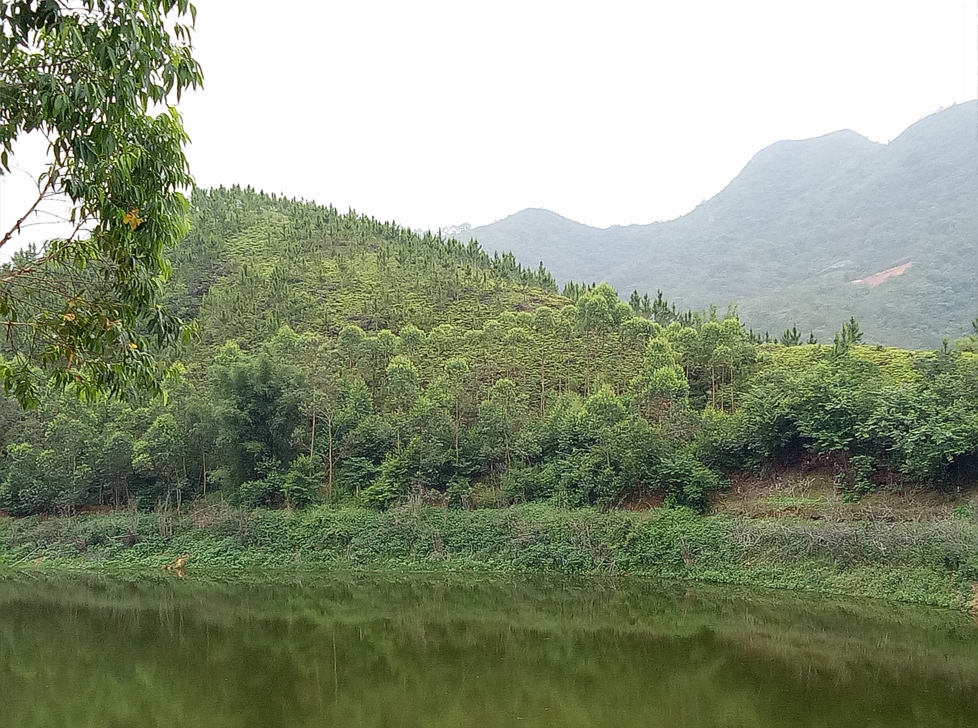 马坑水库