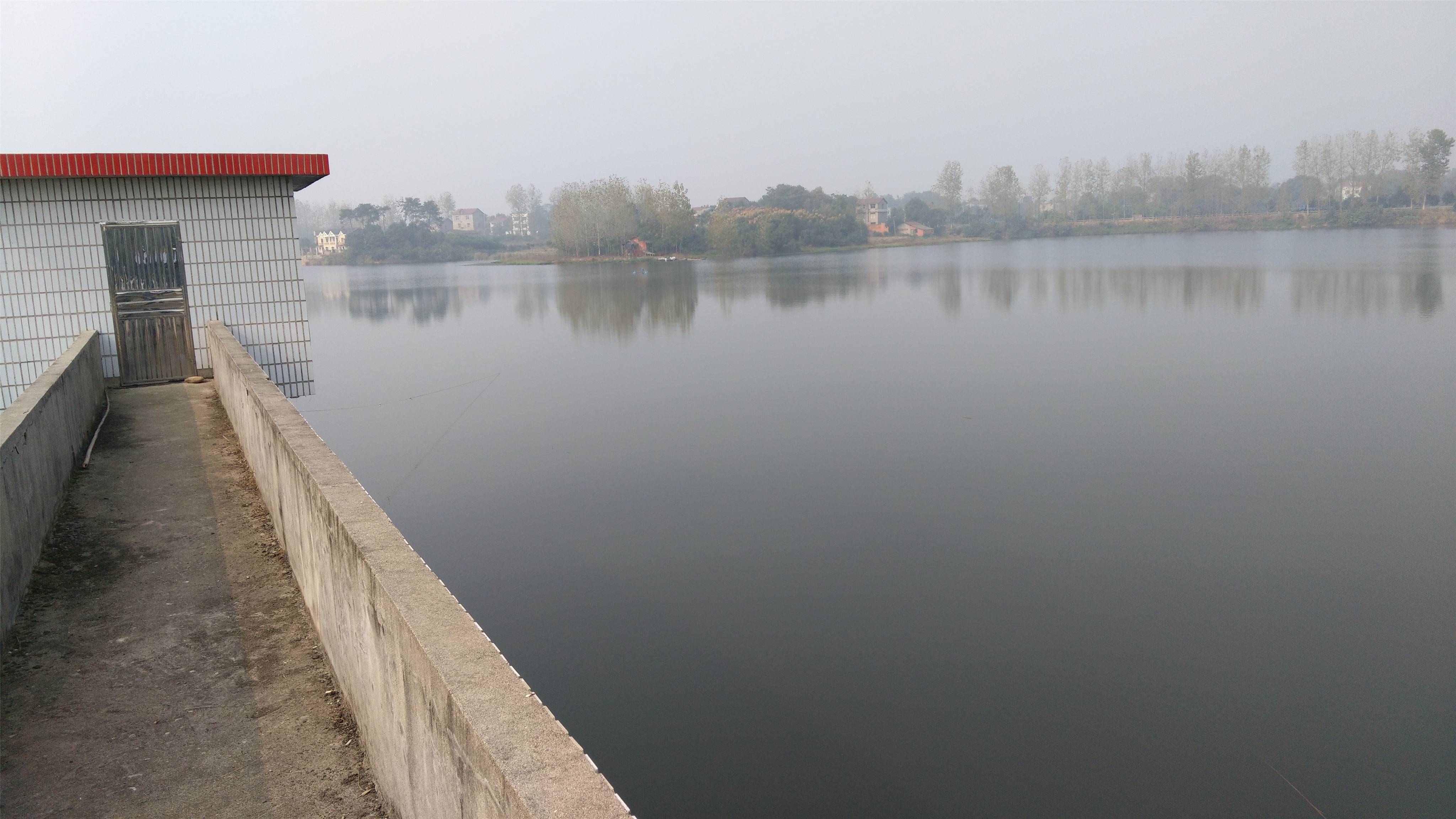 陈家冲水库