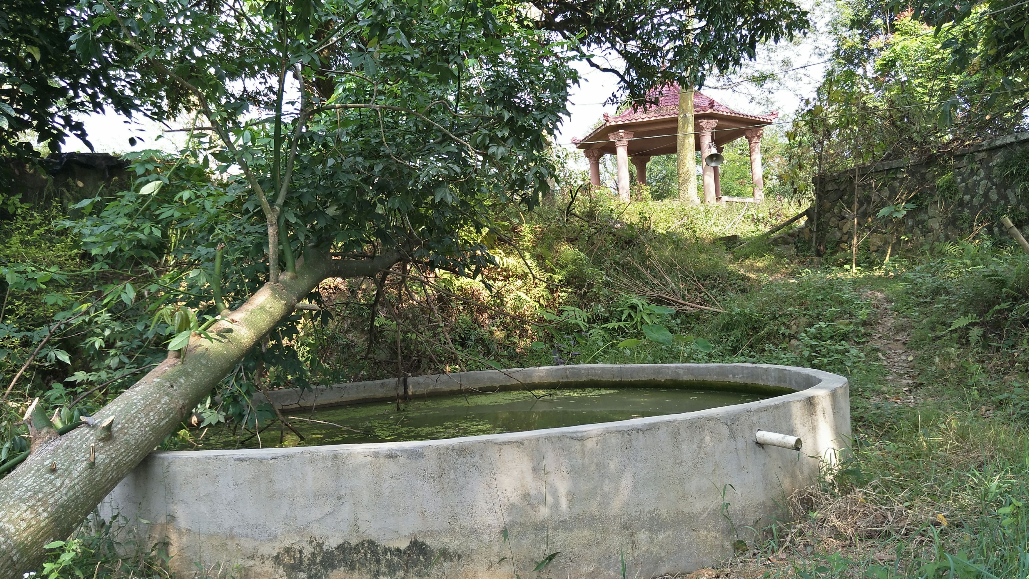 格仔口农村休闲公园