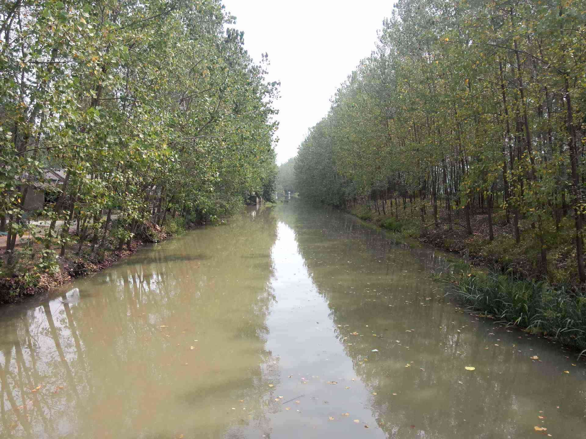 沿总排河