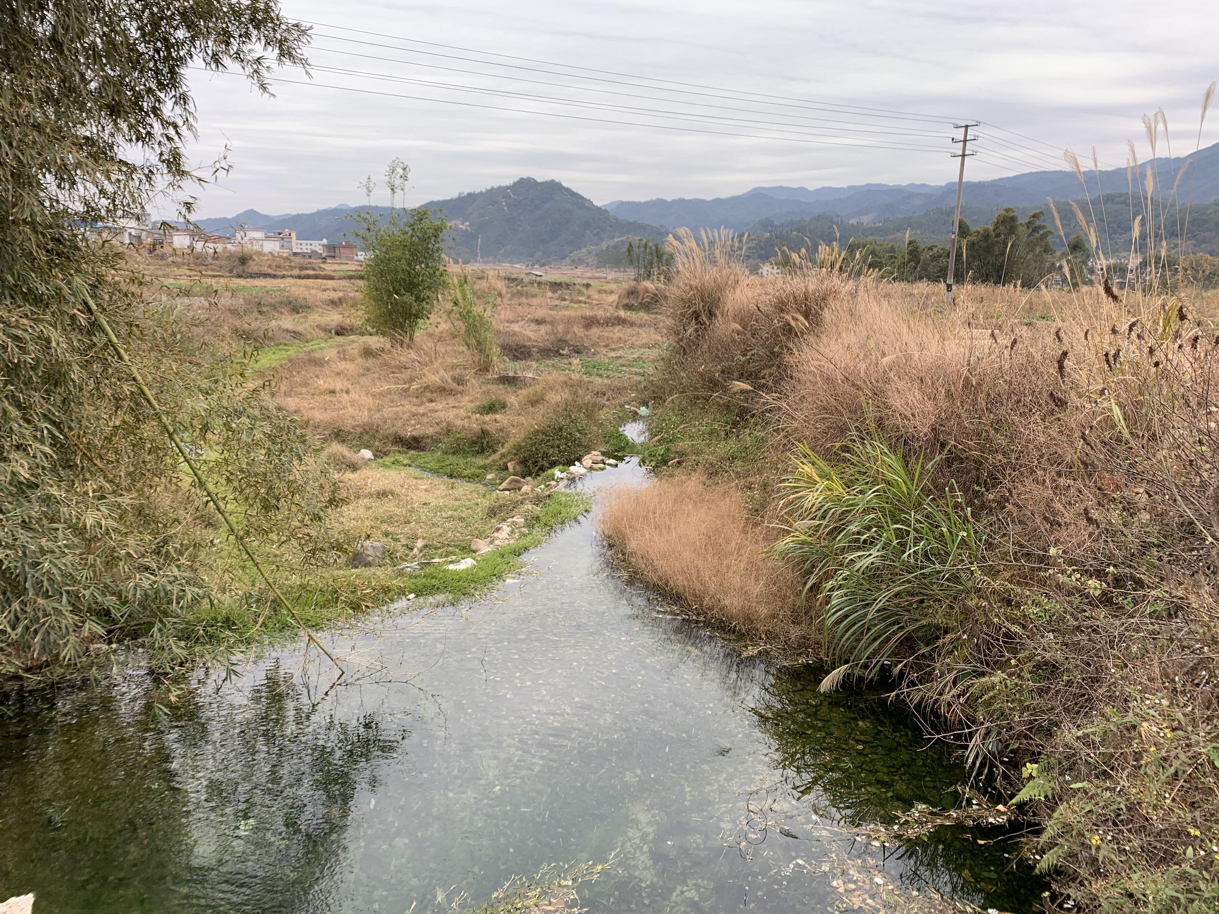 横岭河