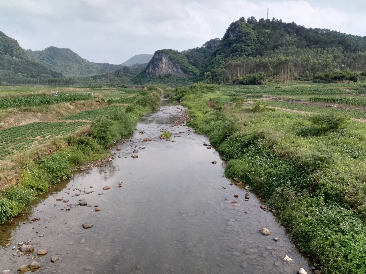 武鸣河