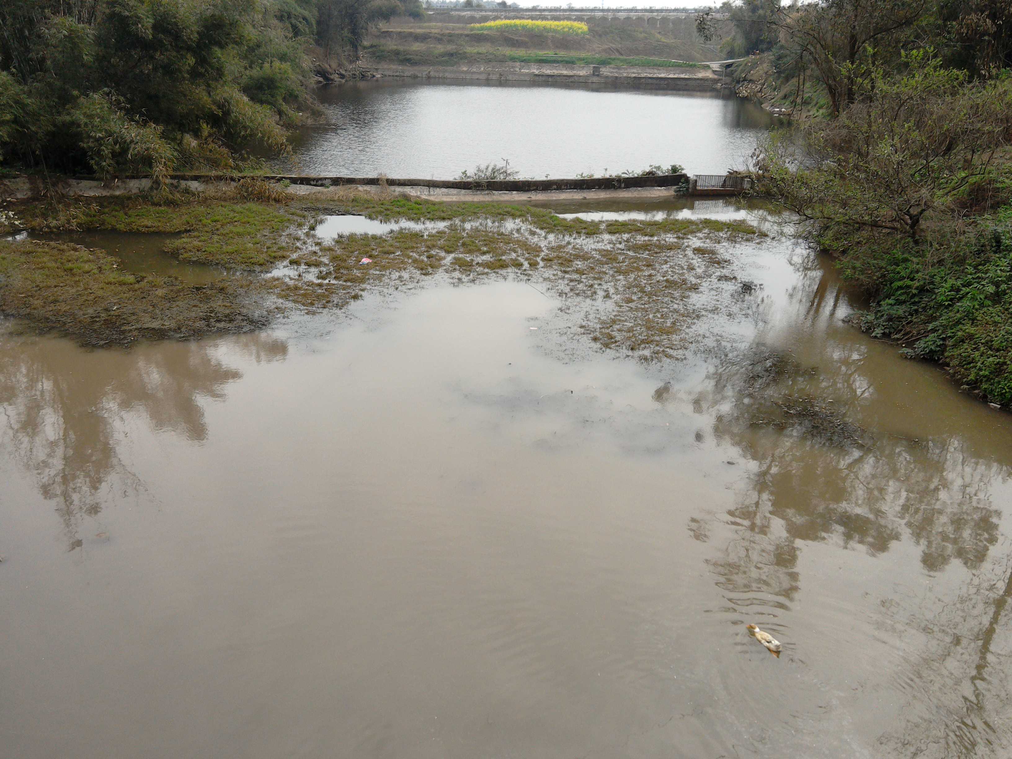 安全村凉水湾水库