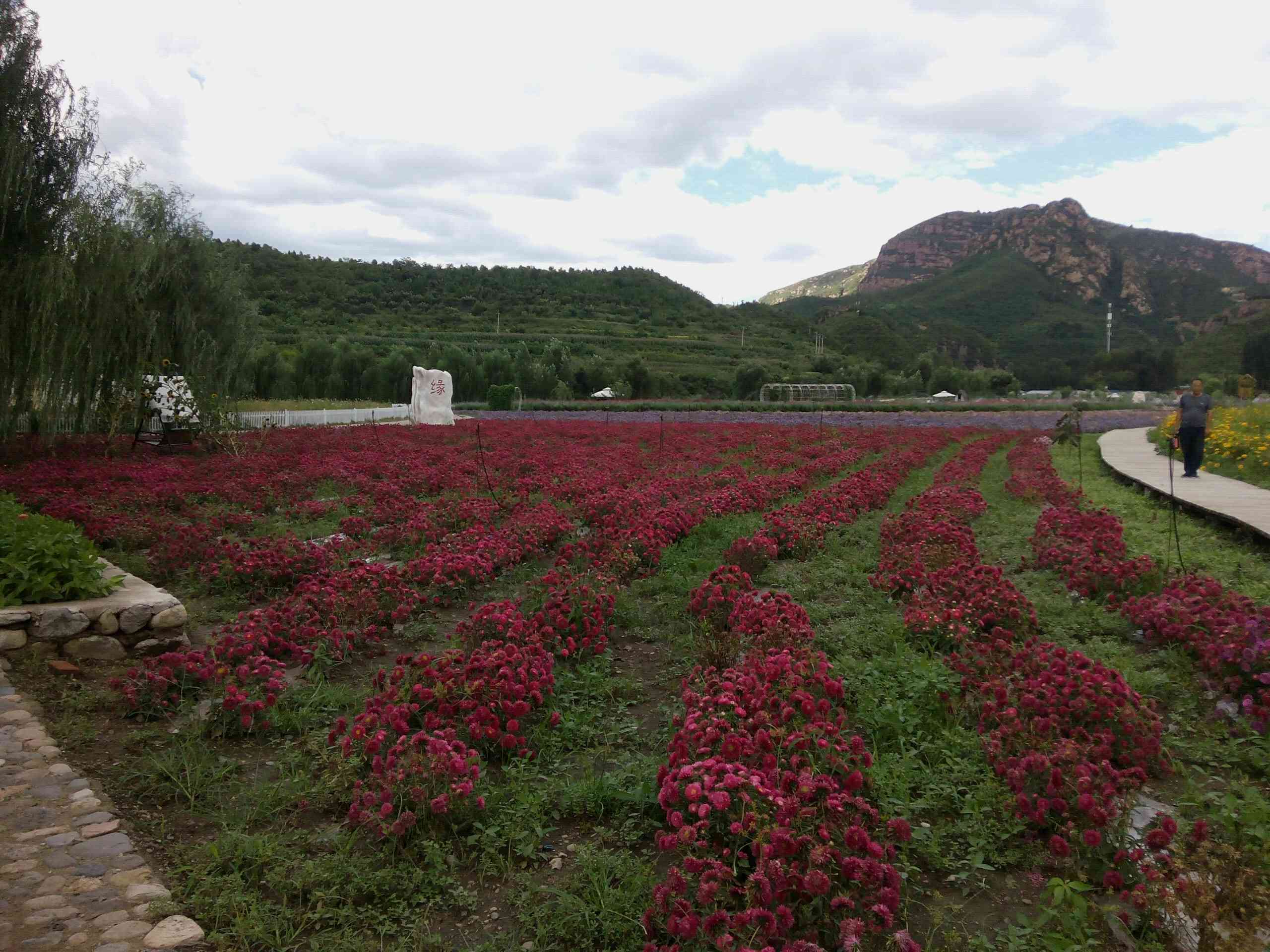 人间花海风景区